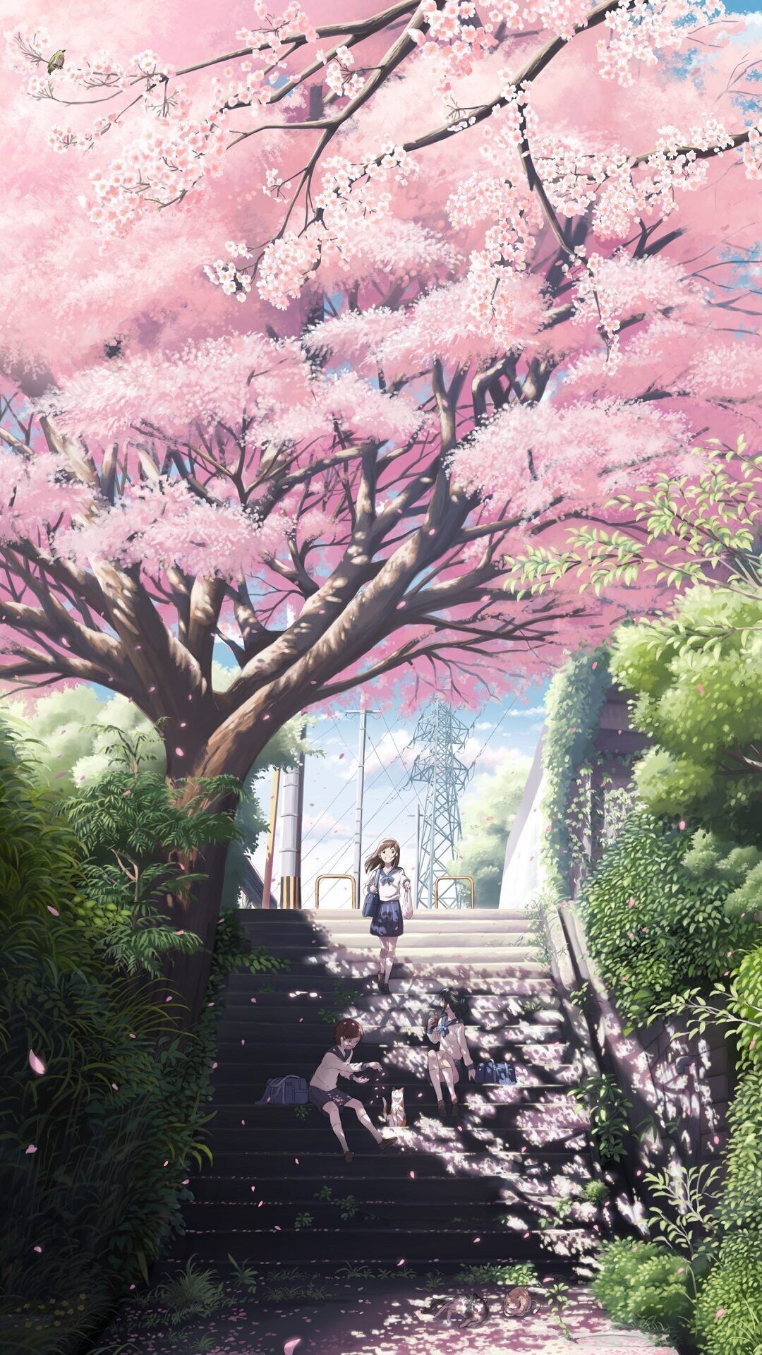 Blooming cherry blossom tree, Anime schoolgirls on stairs, Sunlit outdoor stone steps, Full HD Phone wallpaper