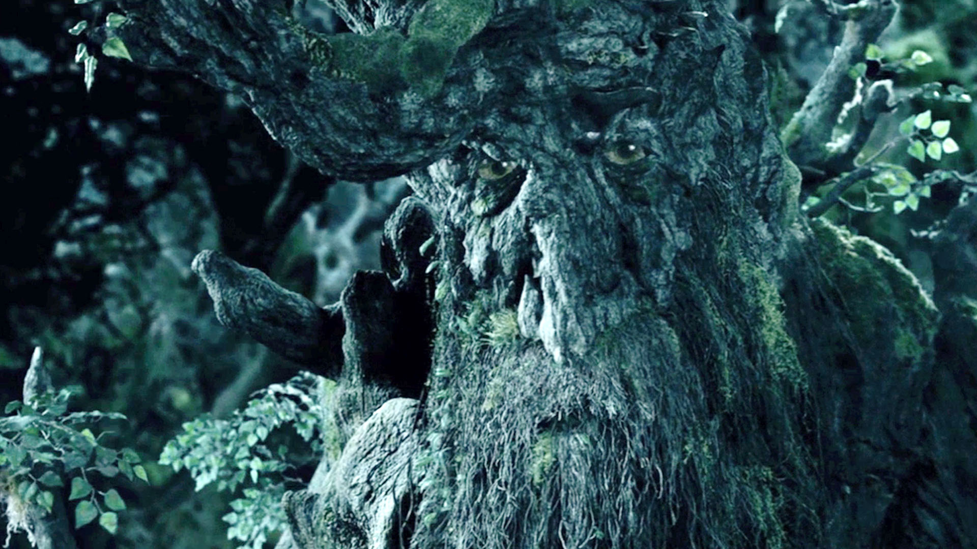 Treebeard character, Top wallpapers, Nature backgrounds, Middle-earth beauty, 1920x1080 Full HD Desktop
