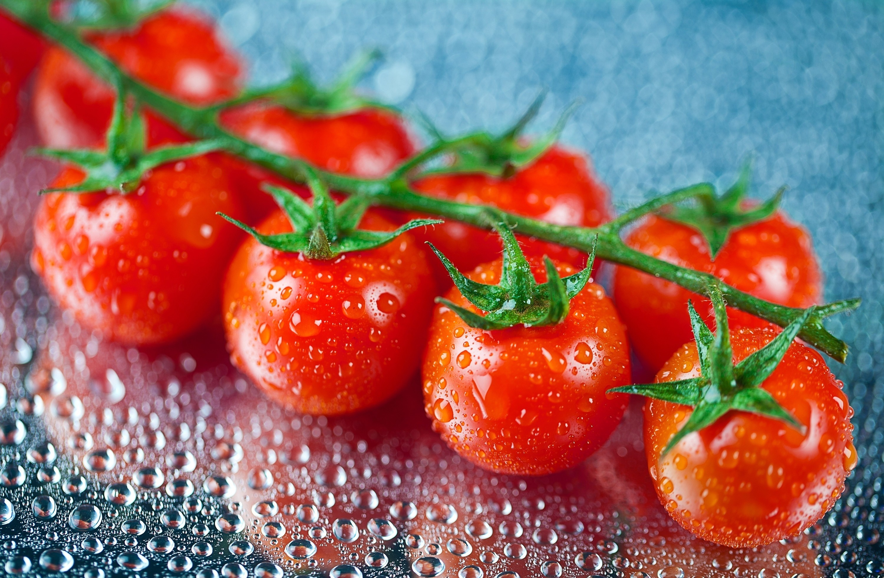 Tomato HD wallpaper, Vibrant background, High-quality image, Digital design, 3000x1970 HD Desktop