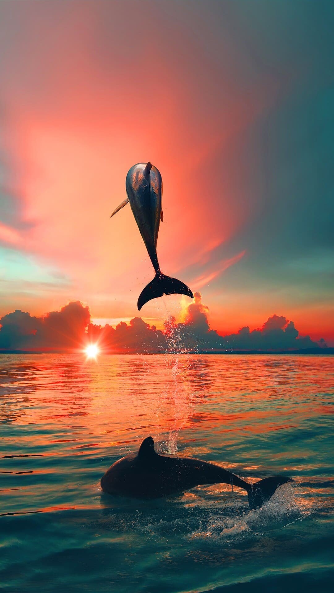 High-definition dolphin wallpapers, Ultra HD images, Stunning 4K visuals, Top quality backgrounds, 1080x1920 Full HD Phone