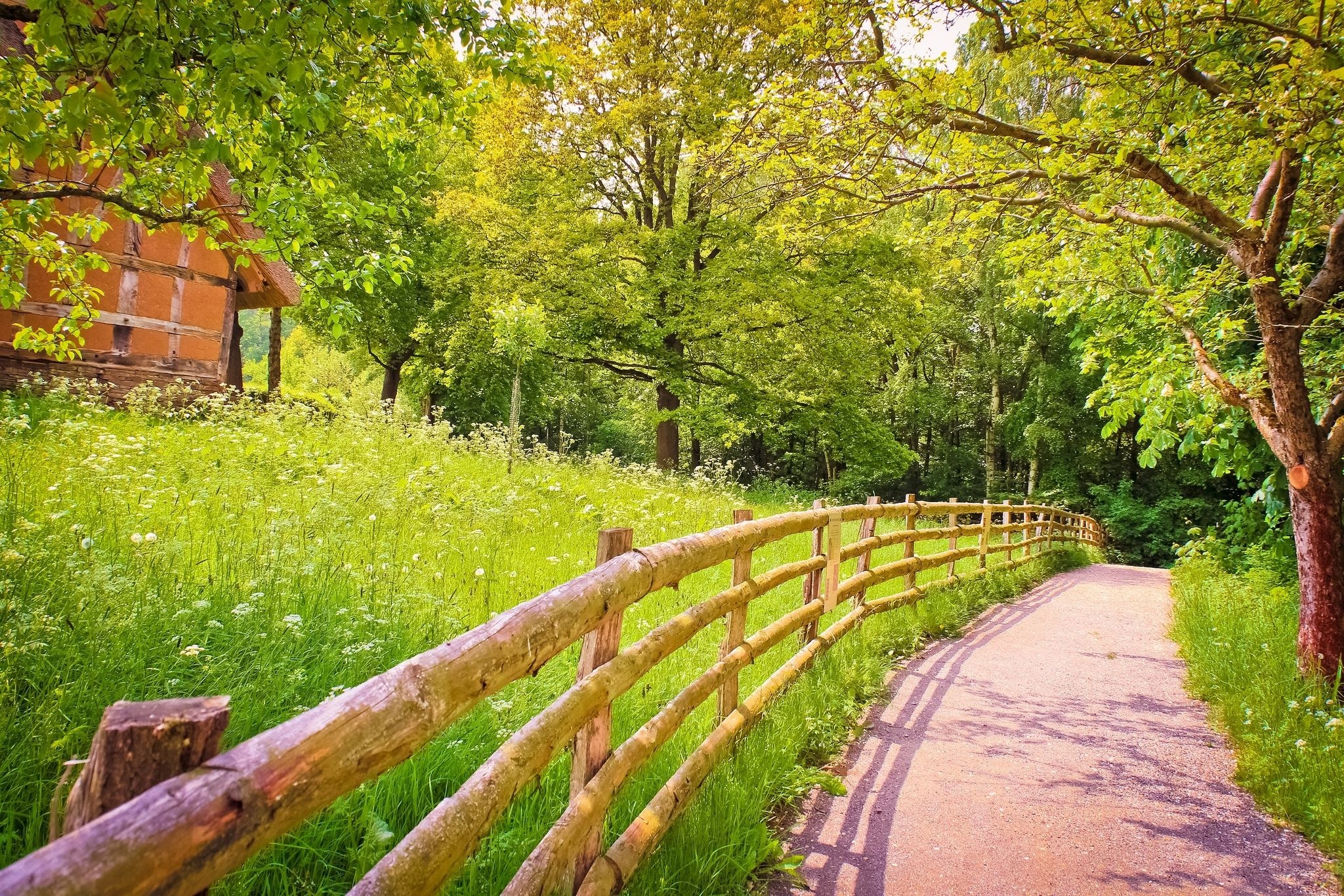 half-timbered cottage, wooden rail fence, sunlit curving footpath, HD Desktop wallpaper