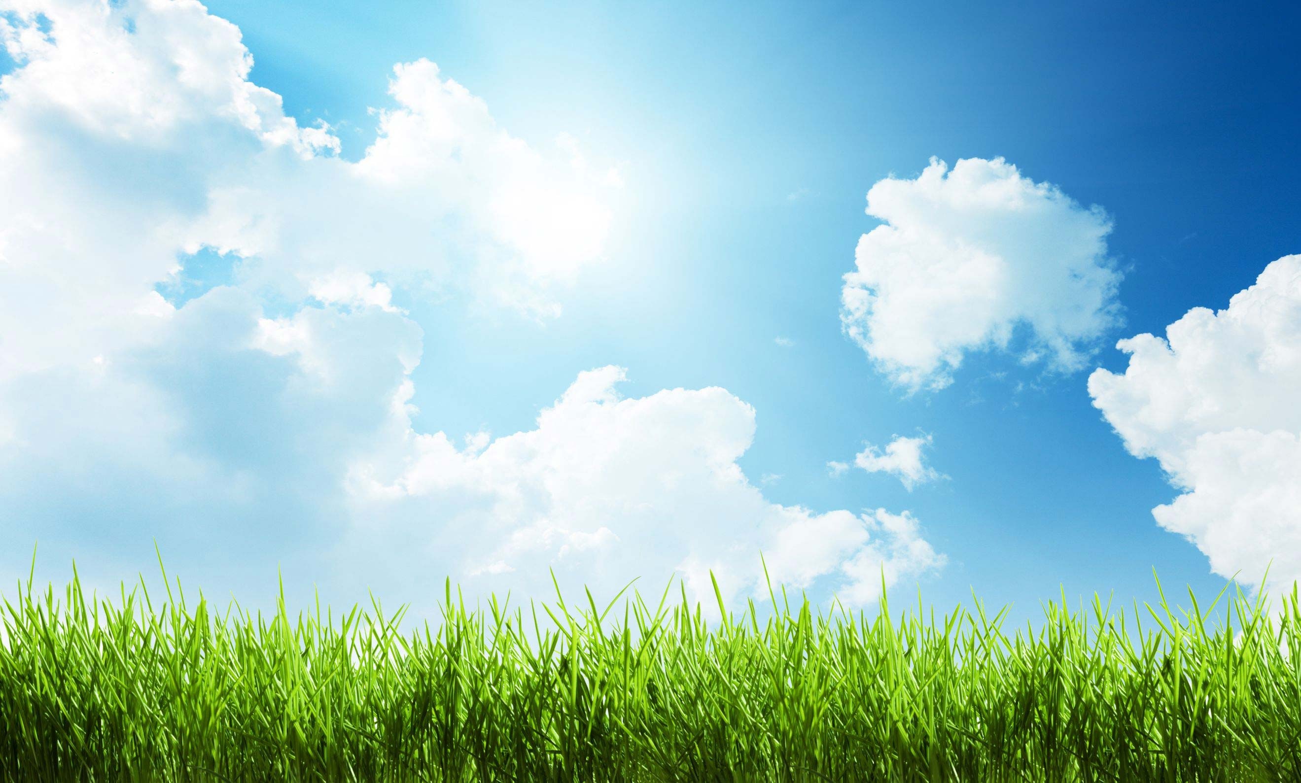 Lush green grass foreground, Bright sunny blue sky, White fluffy cumulus clouds, HD Desktop wallpaper