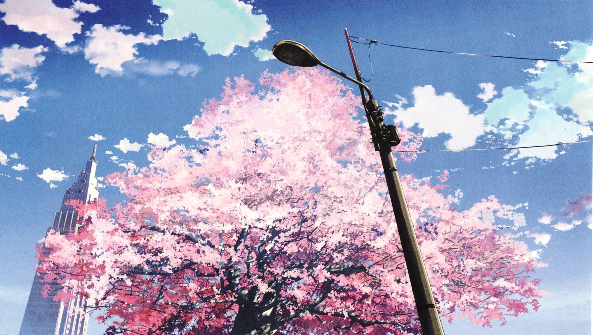 5 Centimeters per Second, NTT Docomo Yoyogi Building, Blooming cherry blossom tree, HD Desktop wallpaper