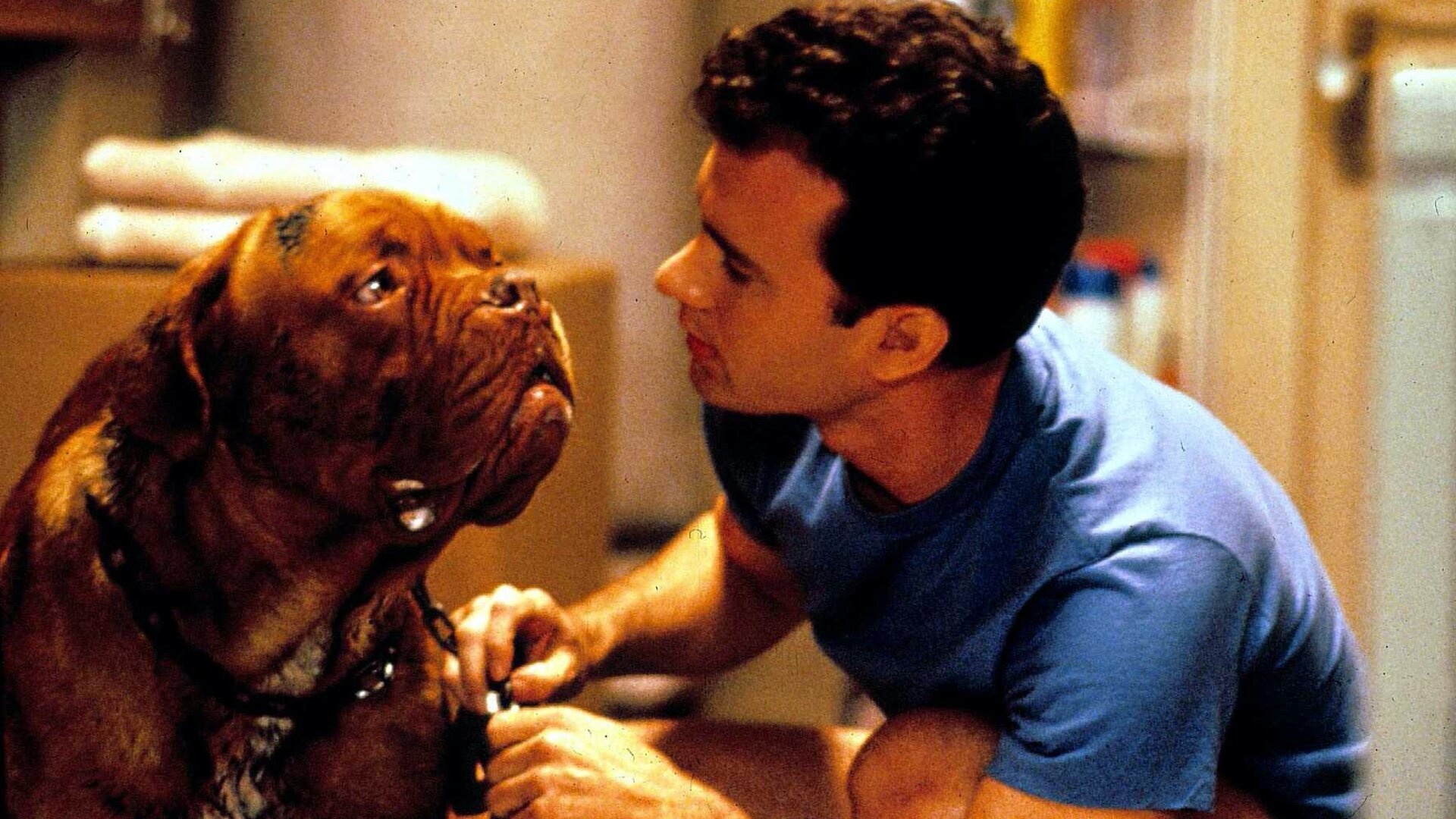 Turner and Hooch (Movies), Disney TV series, Turner and Hooch, Exciting news, 1920x1080 Full HD Desktop