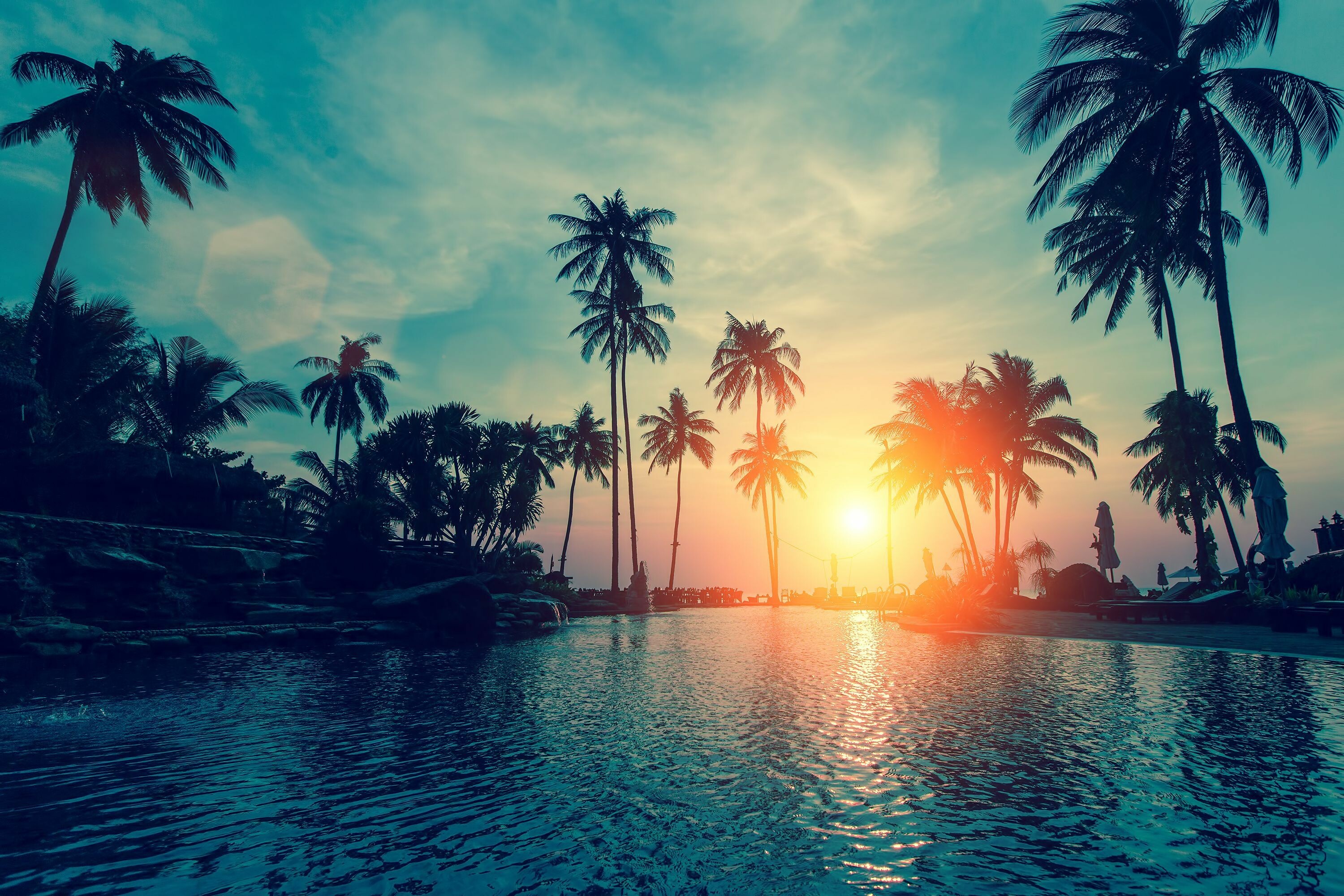 Computer wallpaper, Palm tree bliss, Nature's desktop, Tropical dreams, 3000x2000 HD Desktop