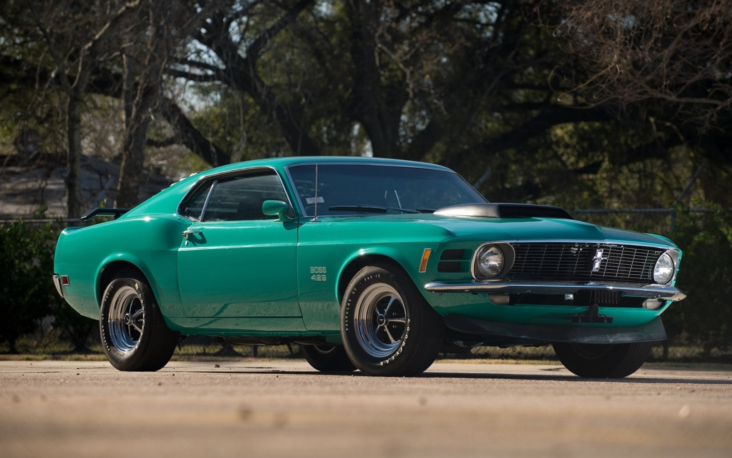 429 Boss 1970, Mustang Wallpaper, 2560x1600 HD Desktop
