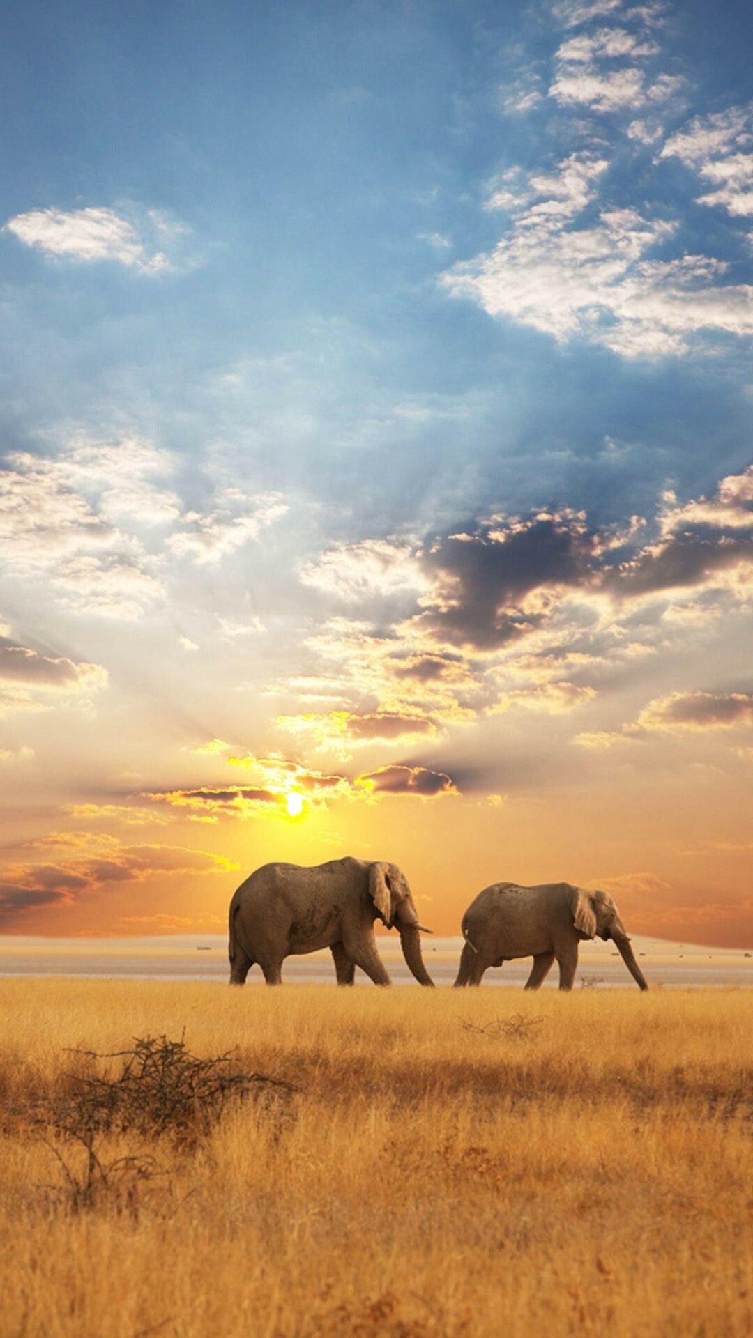 African elephant, Ethereal landscape, Graceful giant, Wallpapers of wildlife, 1080x1920 Full HD Phone