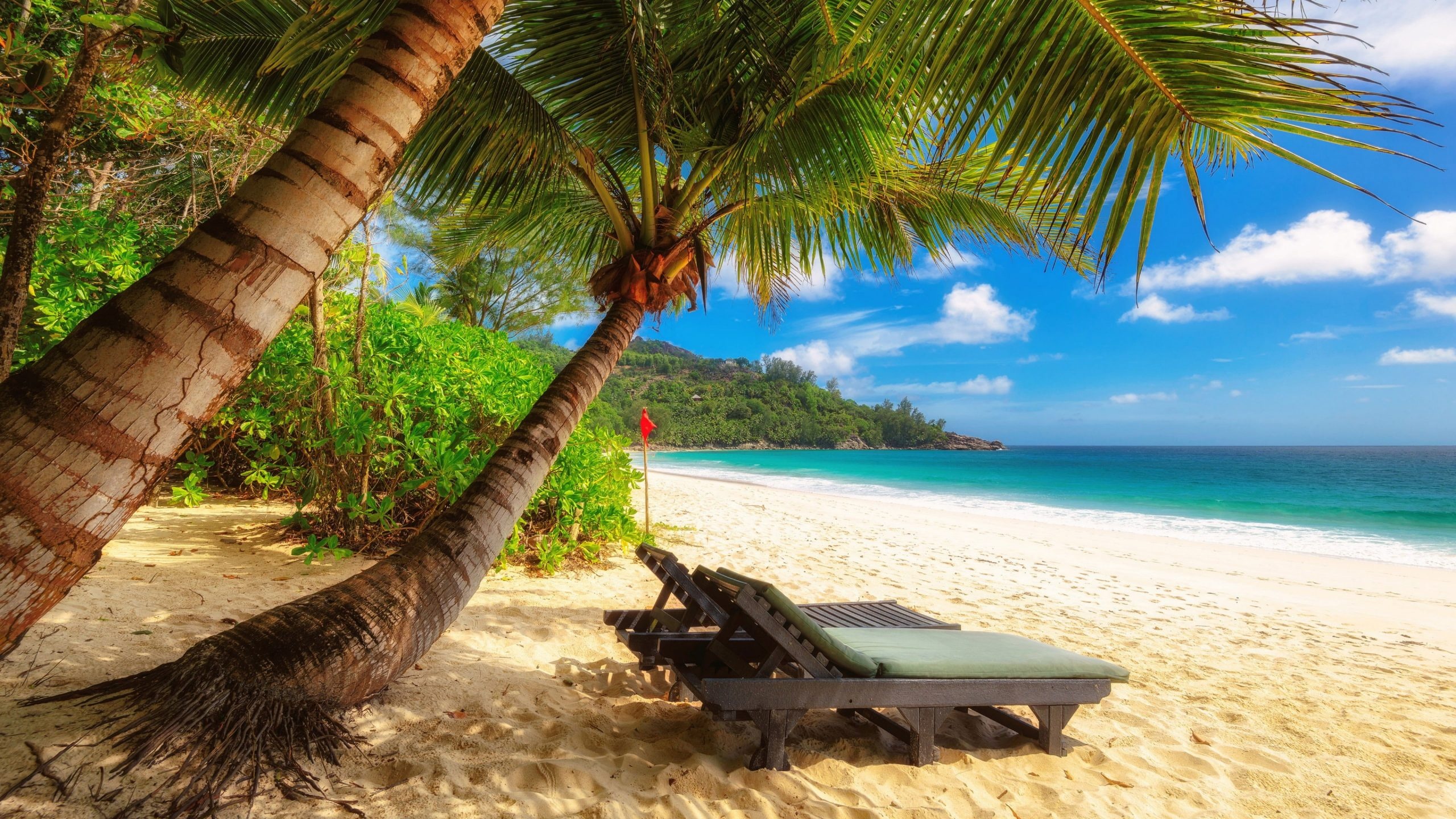 Curved coconut palm tree, Wooden beach lounge chair, Turquoise tropical ocean shore, HD Desktop wallpaper
