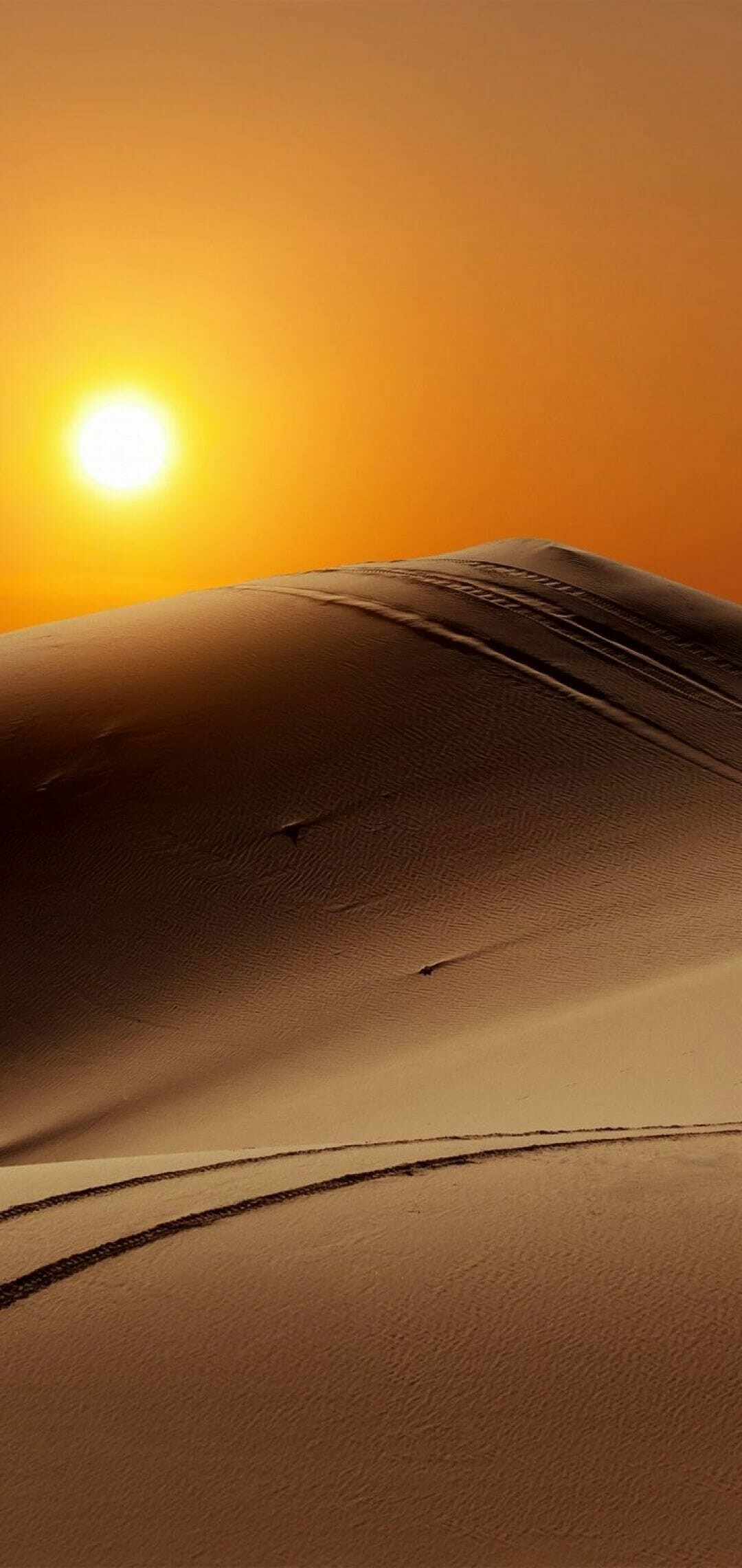 Desert Camel, Android wallpapers, Majestic beauty, Serene landscapes, 1080x2280 HD Phone