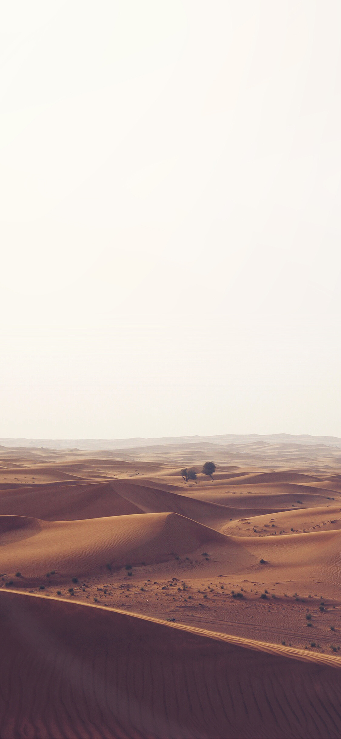 Blue sky backdrop, Serene desert oasis, Sunlit tranquility, Nature's elegance, 1130x2440 HD Phone