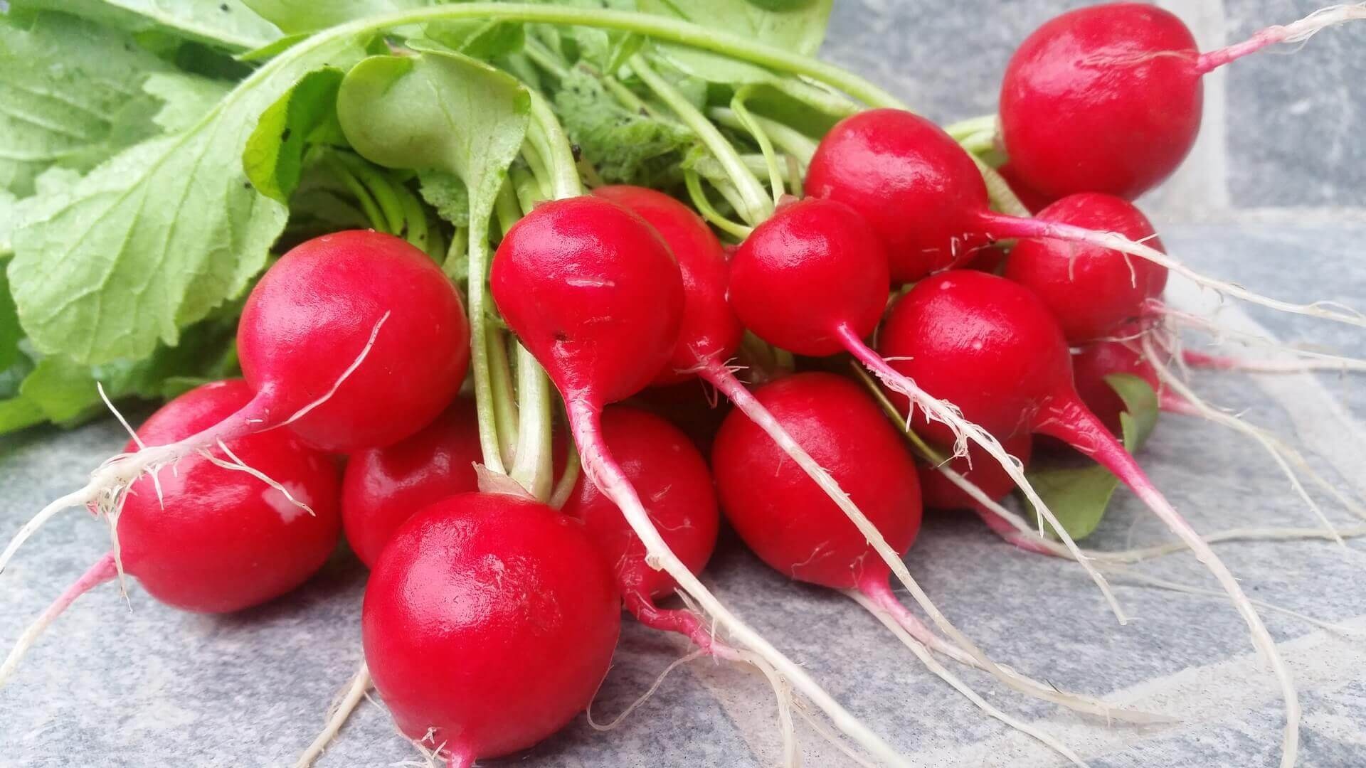 Red radish, Filling food, Ghumti pro, 1920x1080 Full HD Desktop