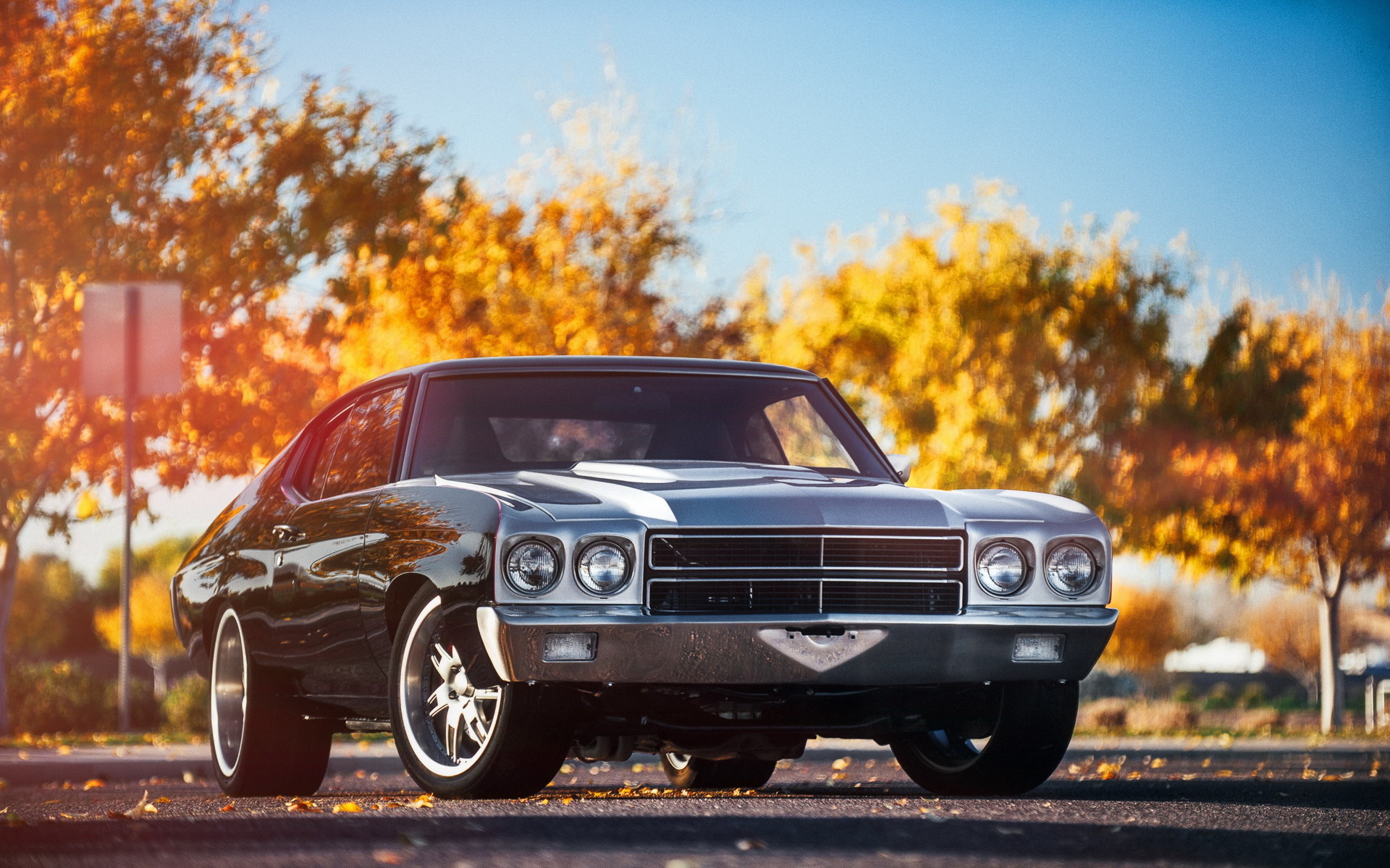 1970 Model, Chevrolet Chevelle Wallpaper, 1920x1200 HD Desktop