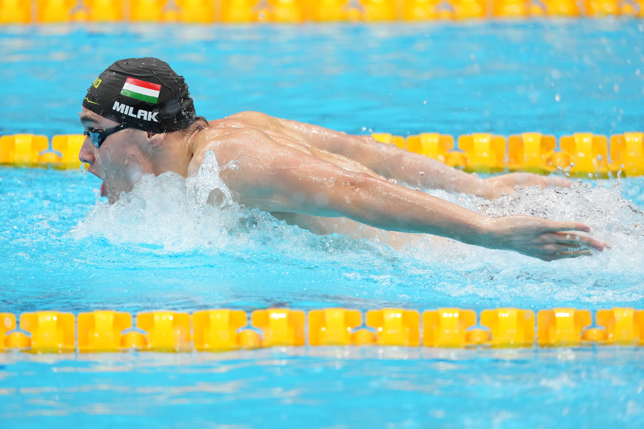 Kristof Milak, Hungary, Men's 200m butterfly, The New York Times, 2050x1370 HD Desktop