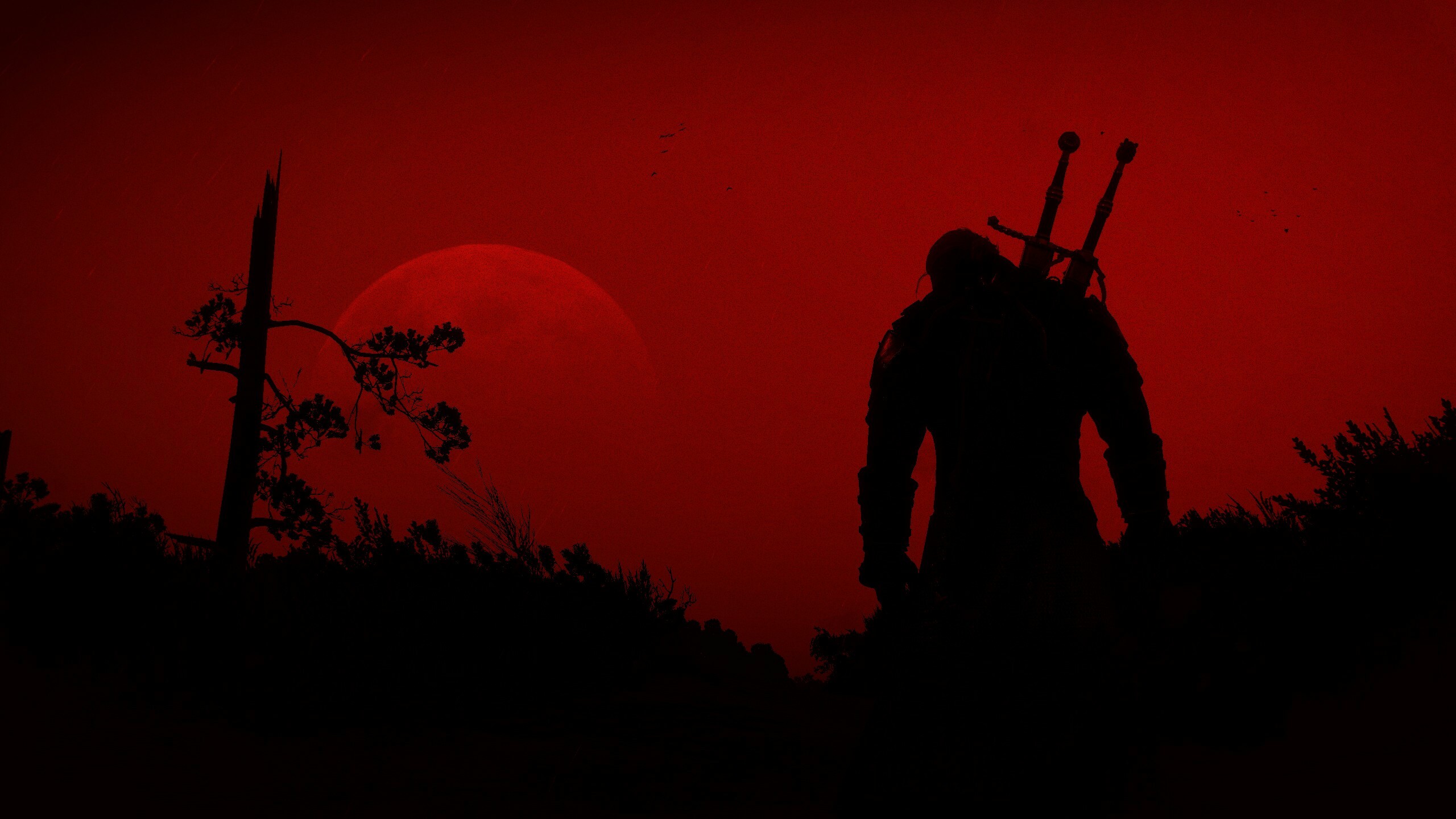The Witcher 3 art, Resolution HD 4K, Wallpapers images backgrounds, Photos, 2560x1440 HD Desktop