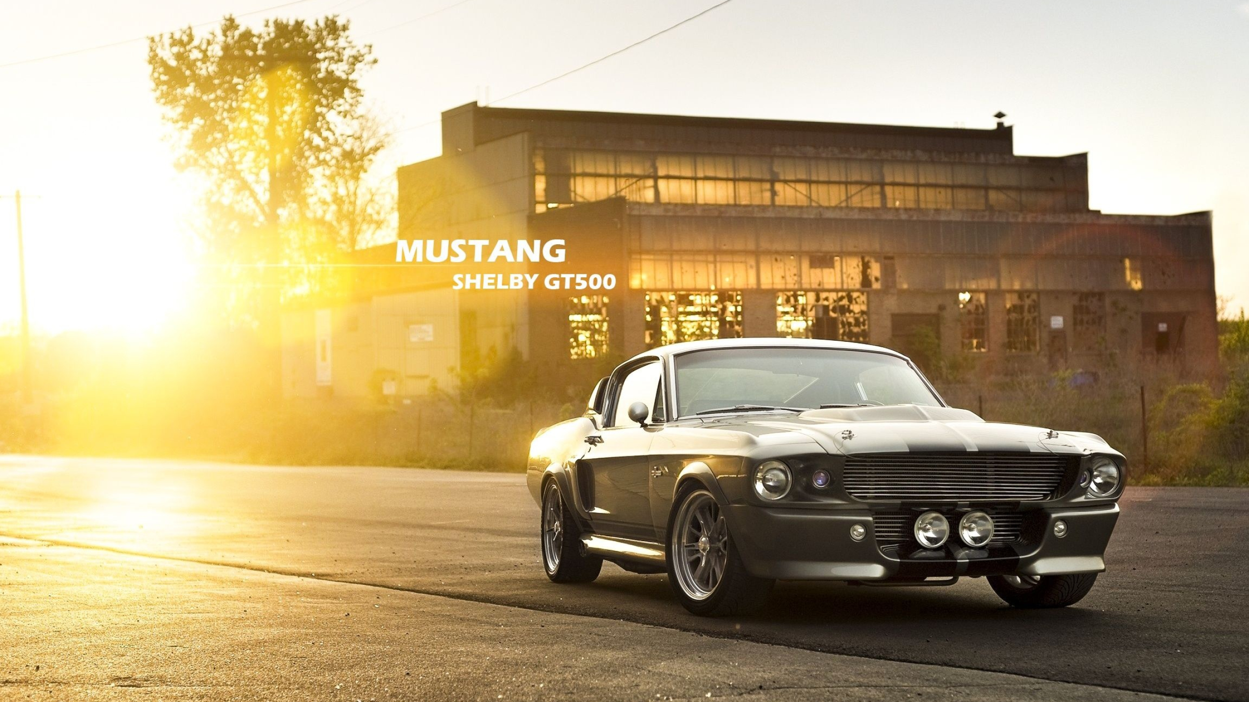 1967 Ford Mustang Shelby GT500, MUSTANG SHELBY GT500 text, abandoned industrial warehouse, HD Desktop wallpaper