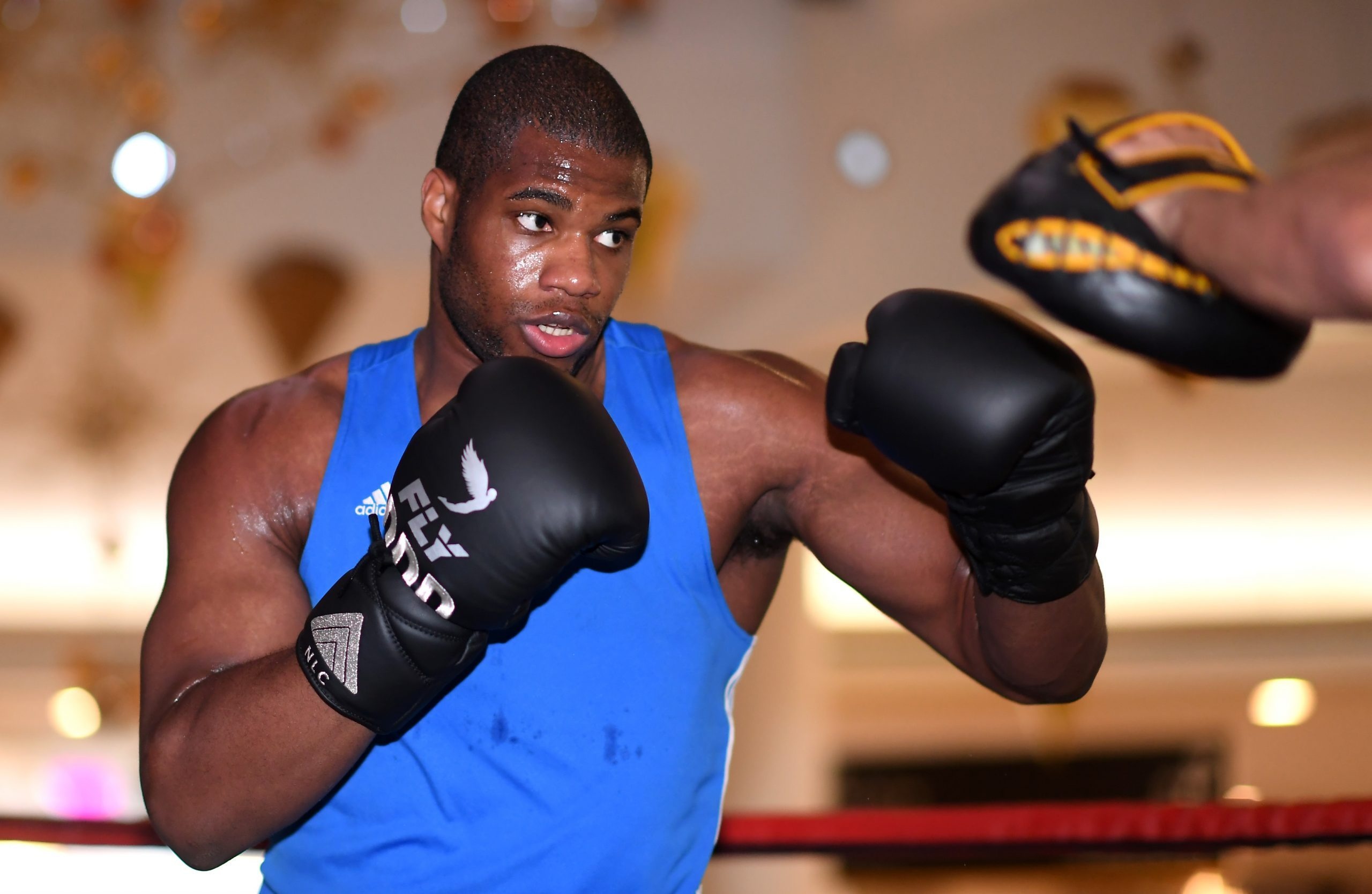 Daniel Dubois, Stream flash sales, Up to 61% off, Boxing, 2560x1670 HD Desktop