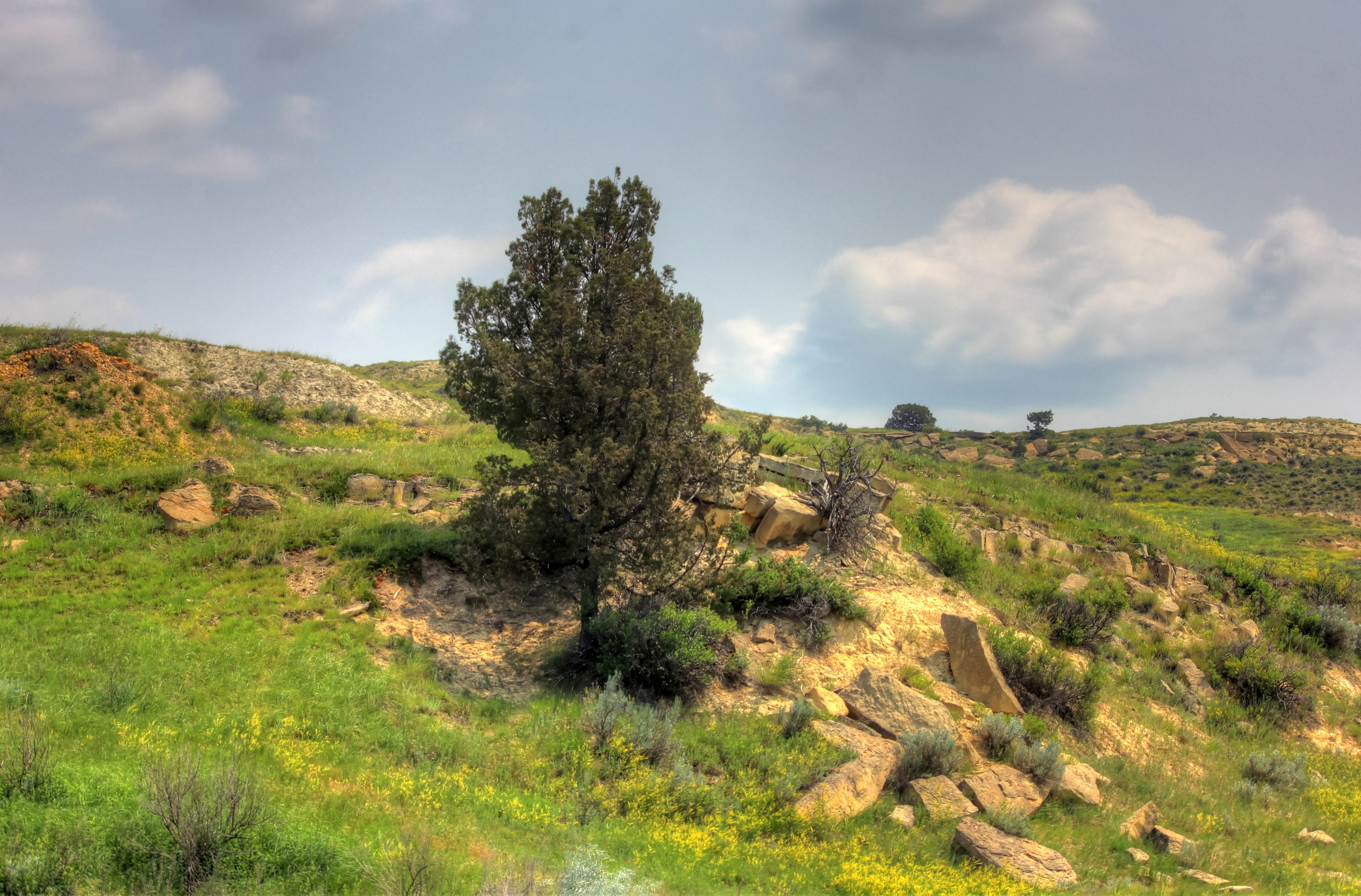 Theodore Roosevelt National Park, North Dakota, Landscape, Grasslands, 3250x2140 HD Desktop