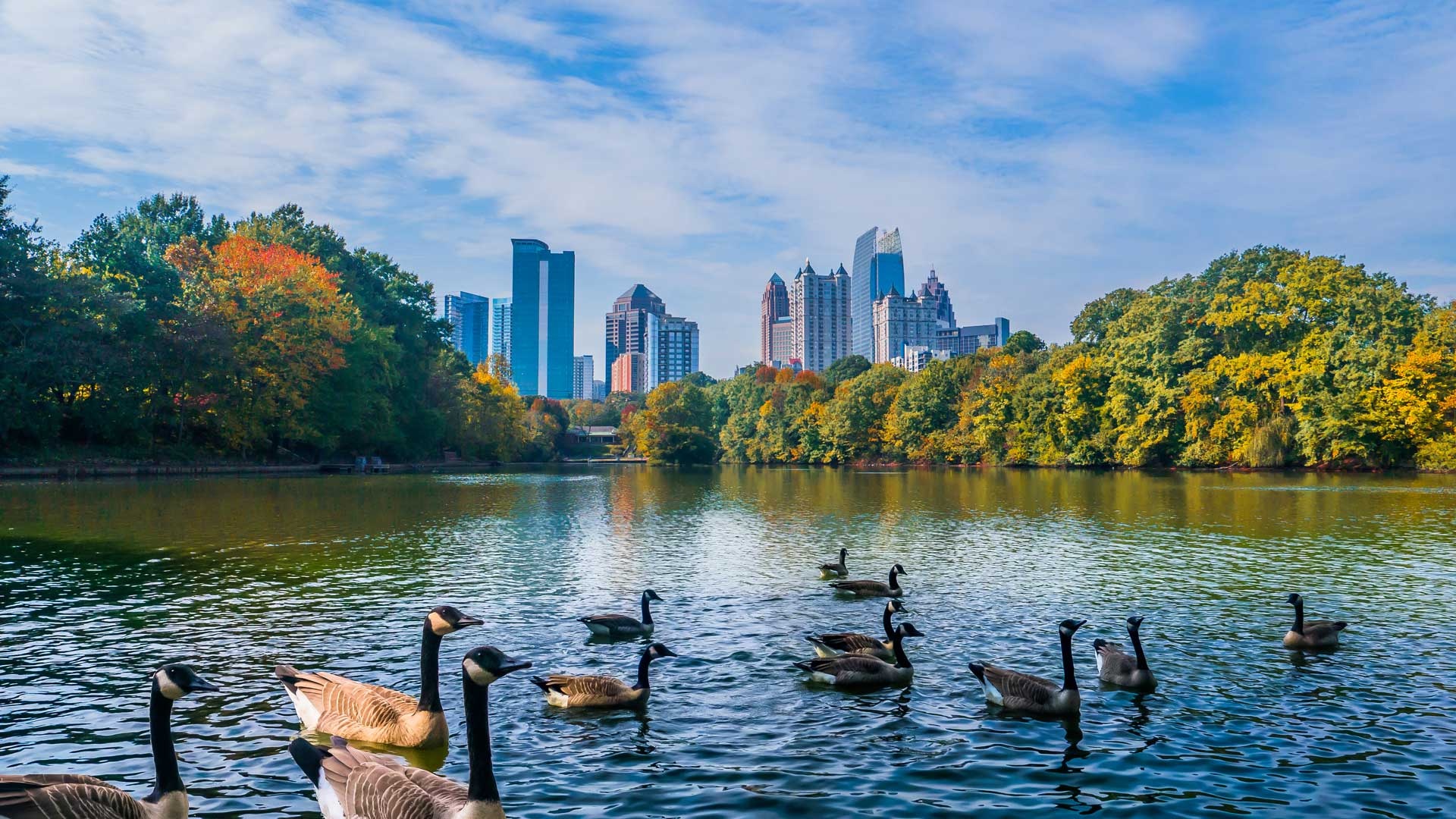 Tree City USA, Montgomery Alabama, 1920x1080 Full HD Desktop