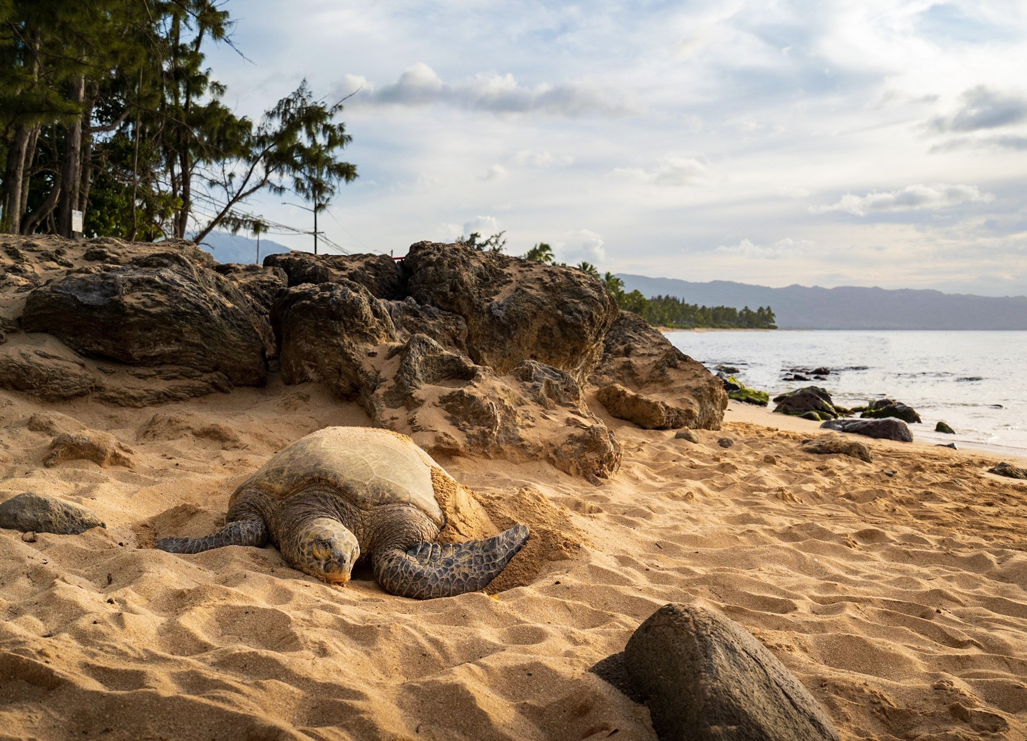 Oahu beaches, Travel guide, Must-visit, Uprooted traveler, 2050x1480 HD Desktop