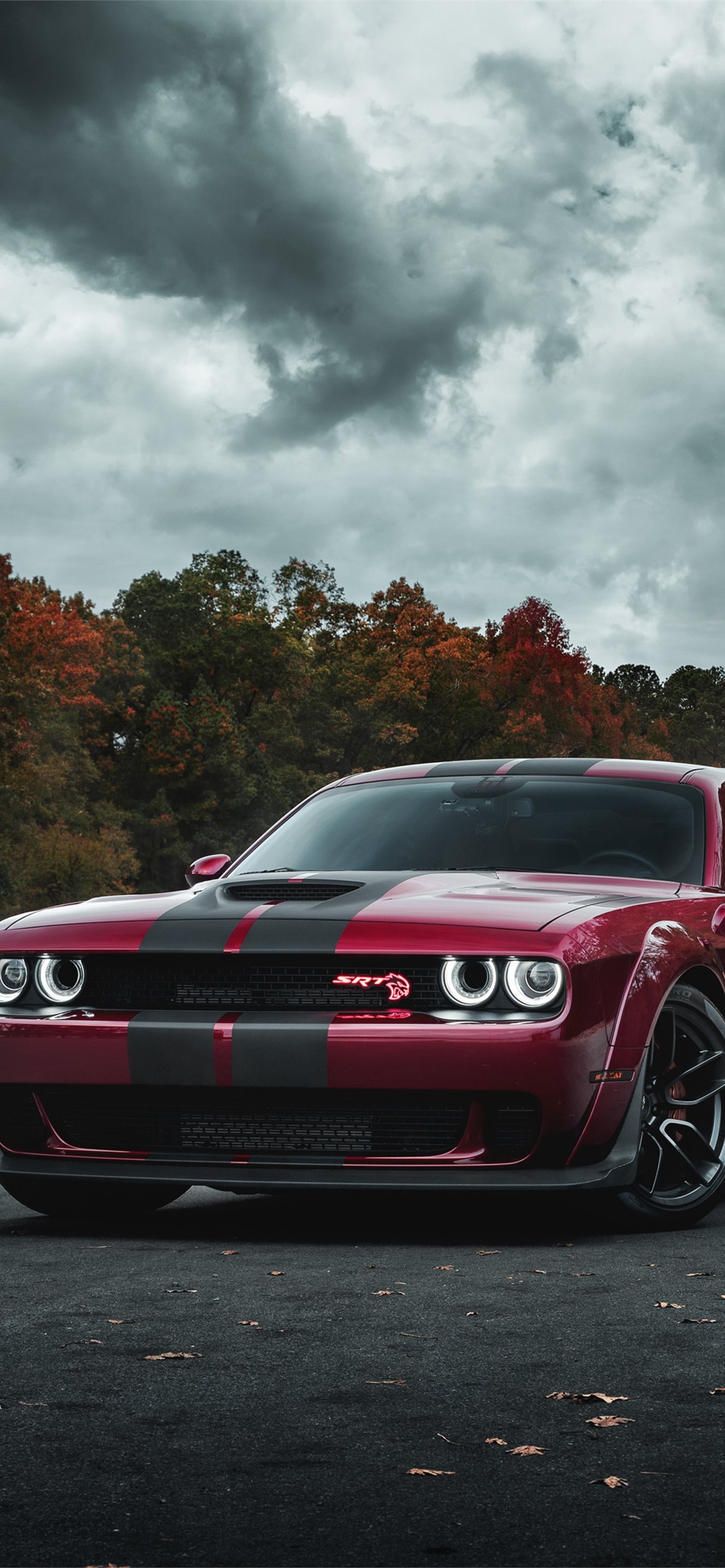 Dodge Challenger, Hellcat Logo Wallpaper, 1290x2780 HD Phone