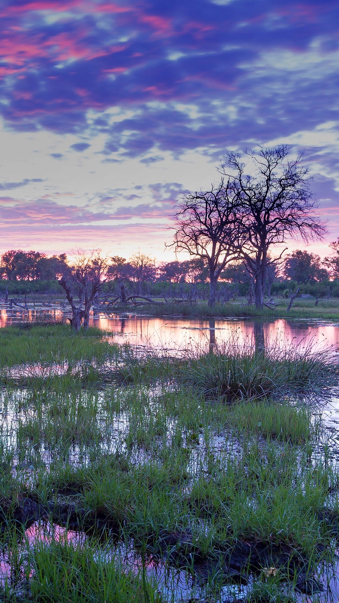 Okavango Delta, African paradise, Windows 10 spotlight, Natural wonder, 1080x1920 Full HD Phone