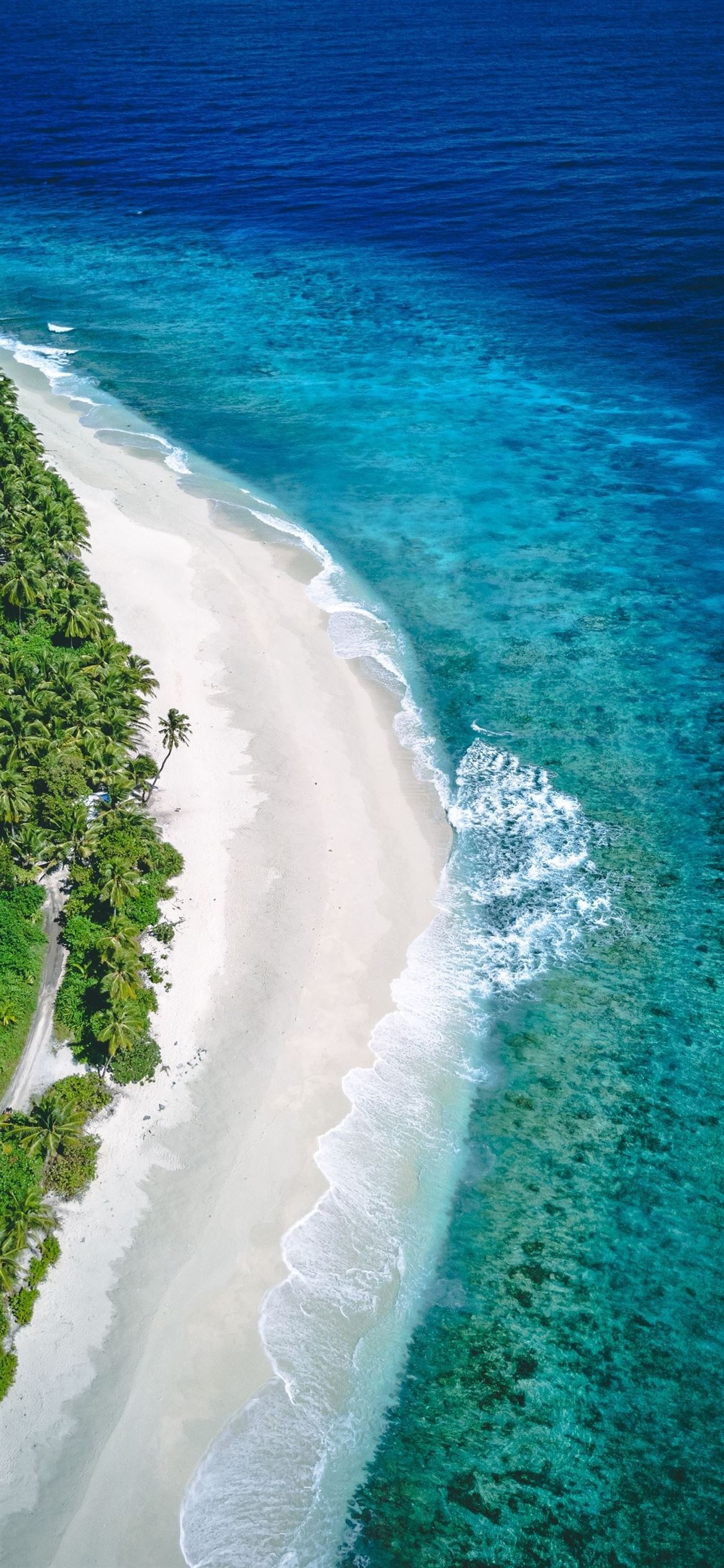 curving white sand shoreline, coastal coconut palm forest, turquoise shallow coral reef, HD Phone wallpaper