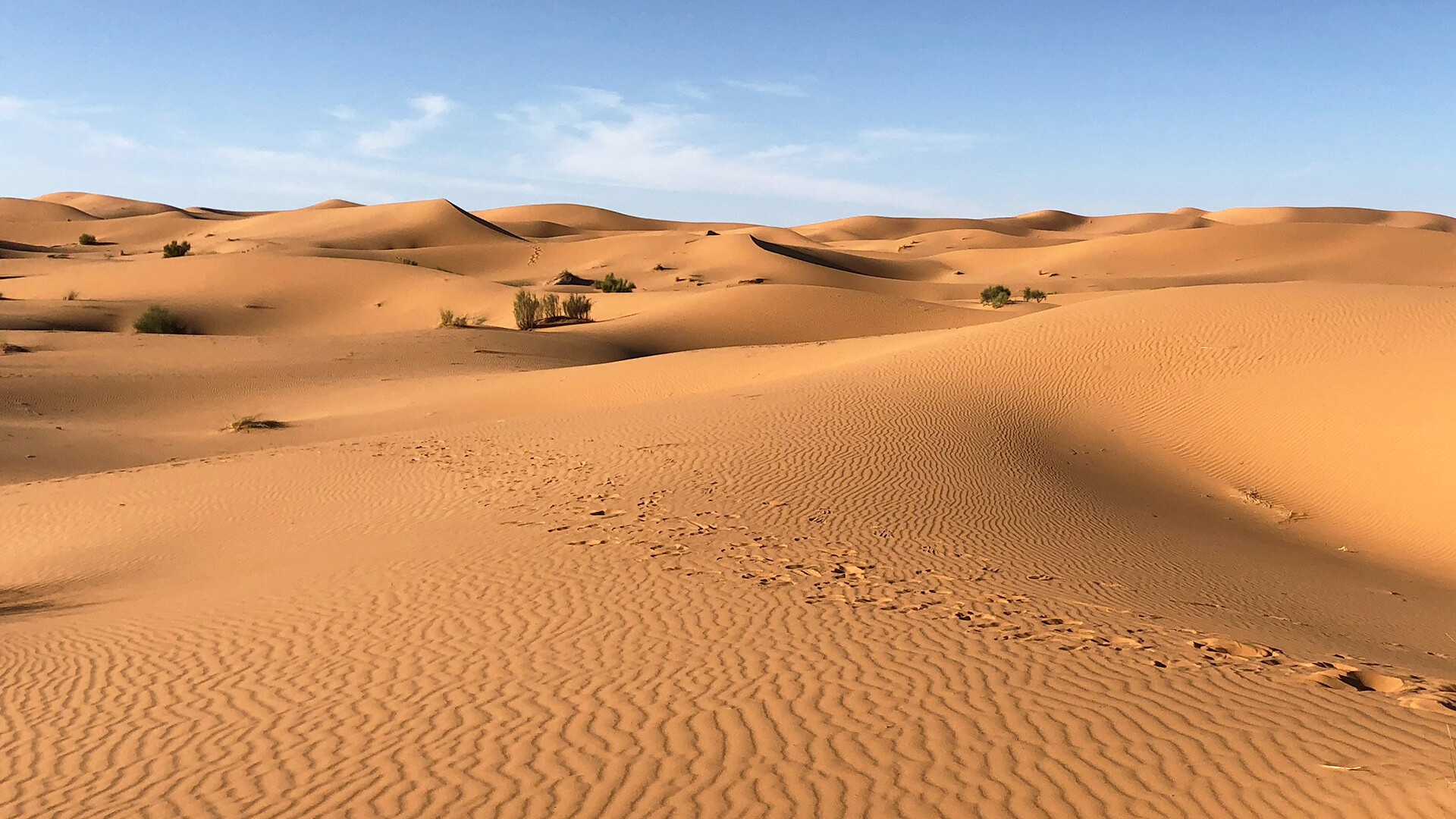 Virtual backgrounds of Sahara desert, Digital landscapes, Desert dream, Virtual escape, 1920x1080 Full HD Desktop