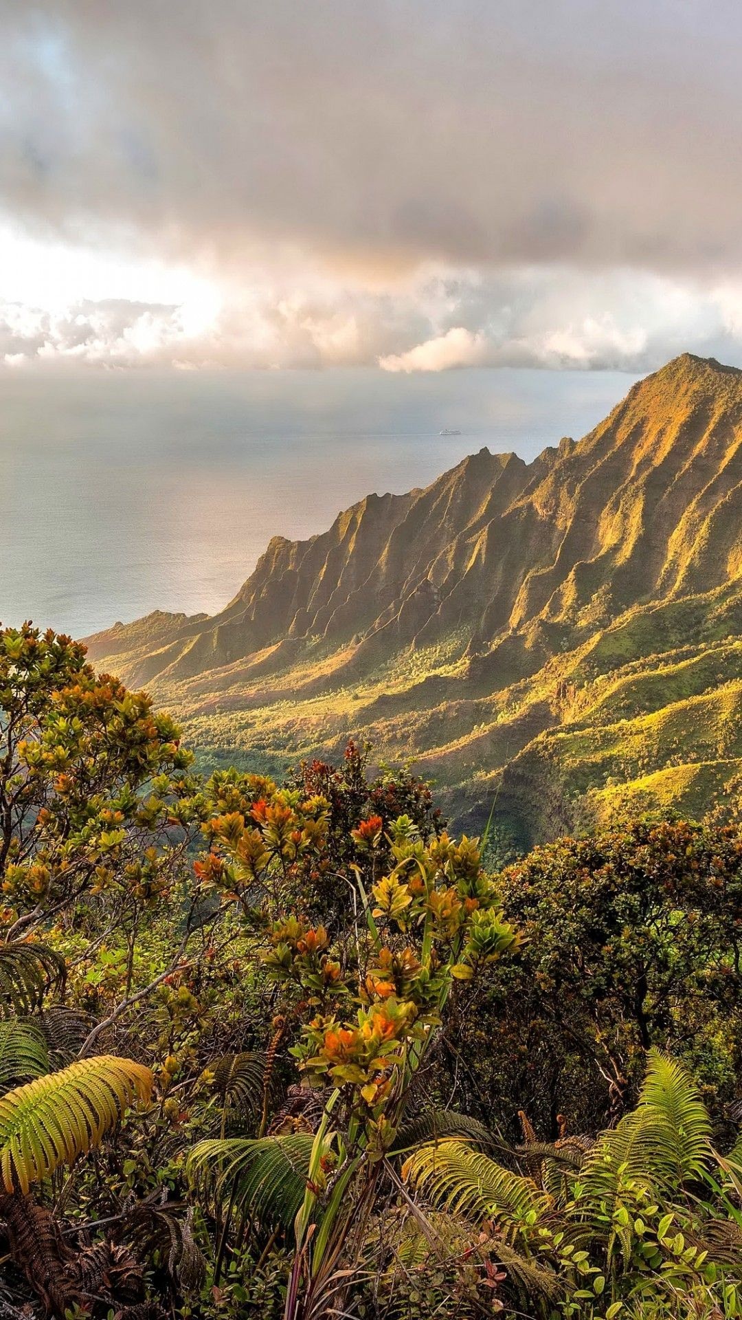 Kalalau Valley, Hawaiian Islands Wallpaper, 1080x1920 Full HD Phone