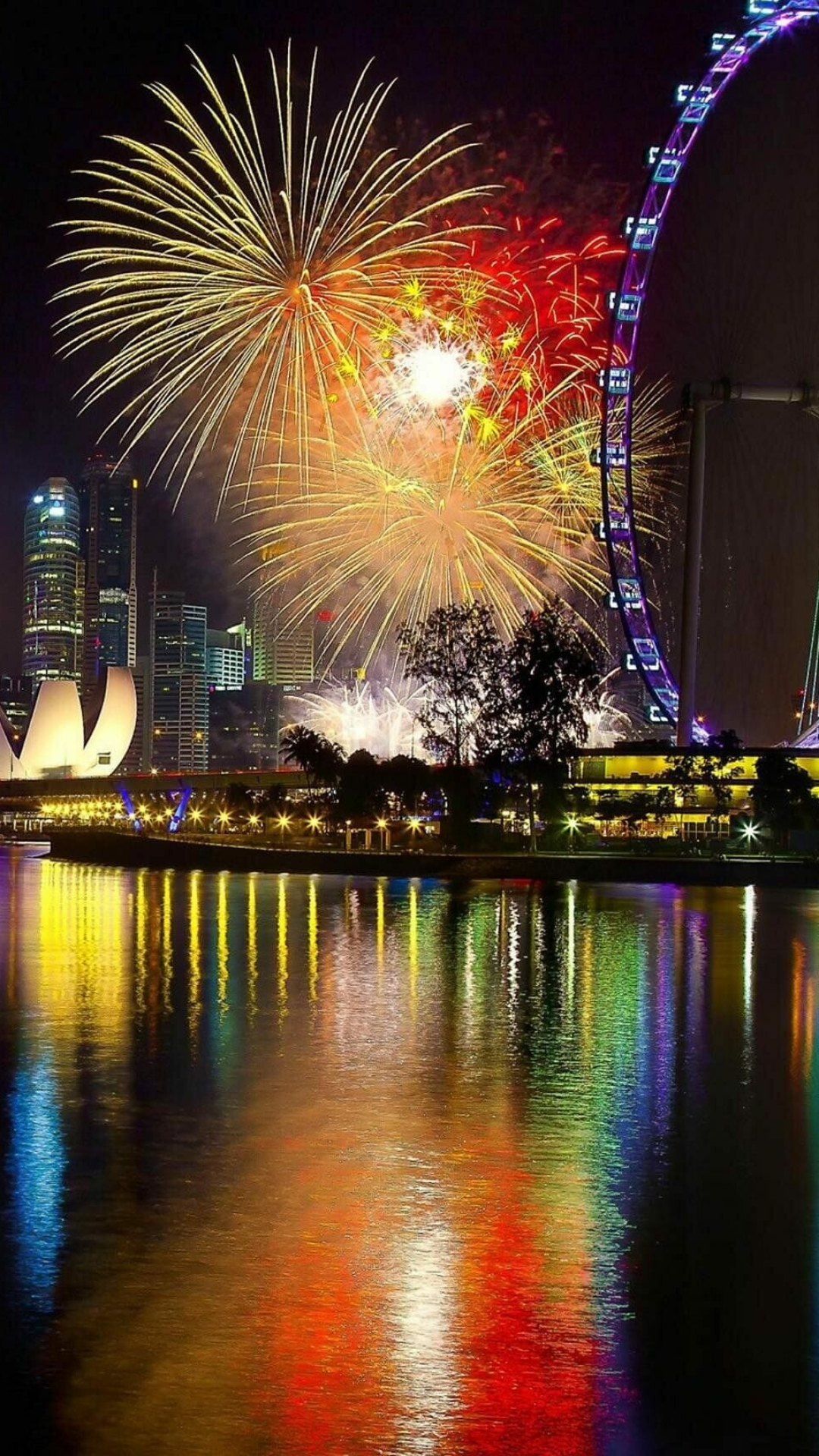 Firework Holiday, Firework displays, Festive celebration, 1080x1920 Full HD Phone