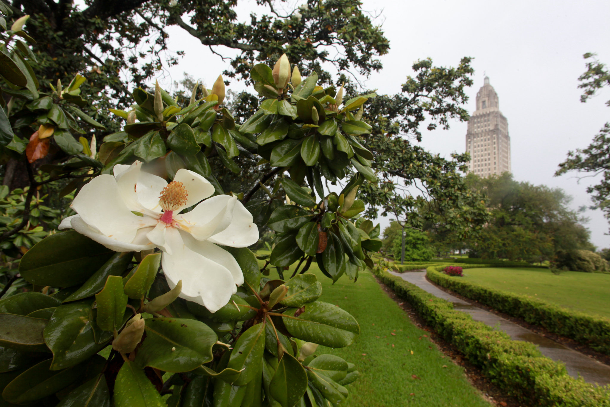 36 hours in Baton Rouge, NY Times, Travels, Baton Rouge, 2050x1370 HD Desktop