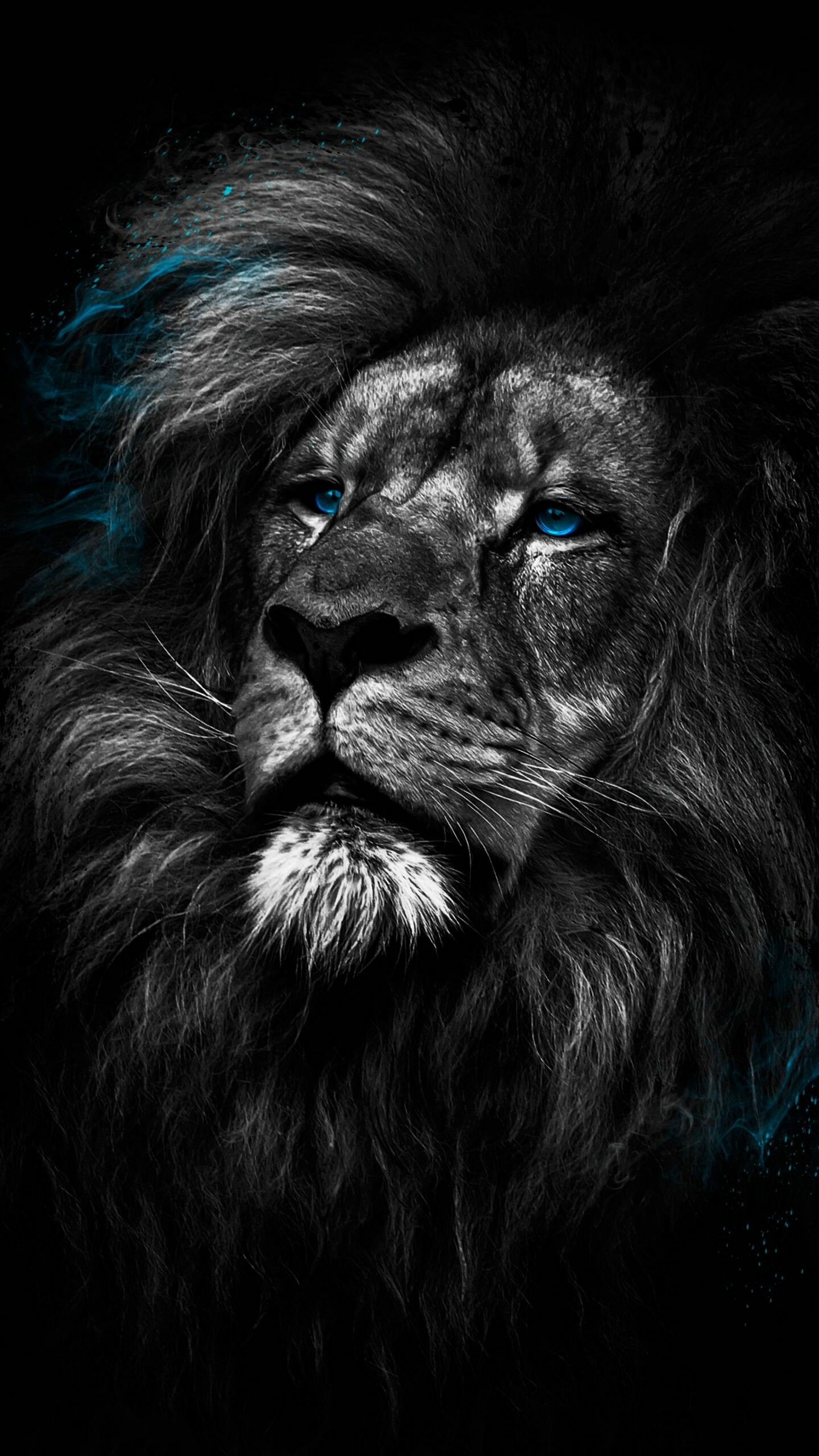 Lion in 4K, Ultra high resolution, Desktop wallpaper, Captivating image, 1440x2560 HD Phone