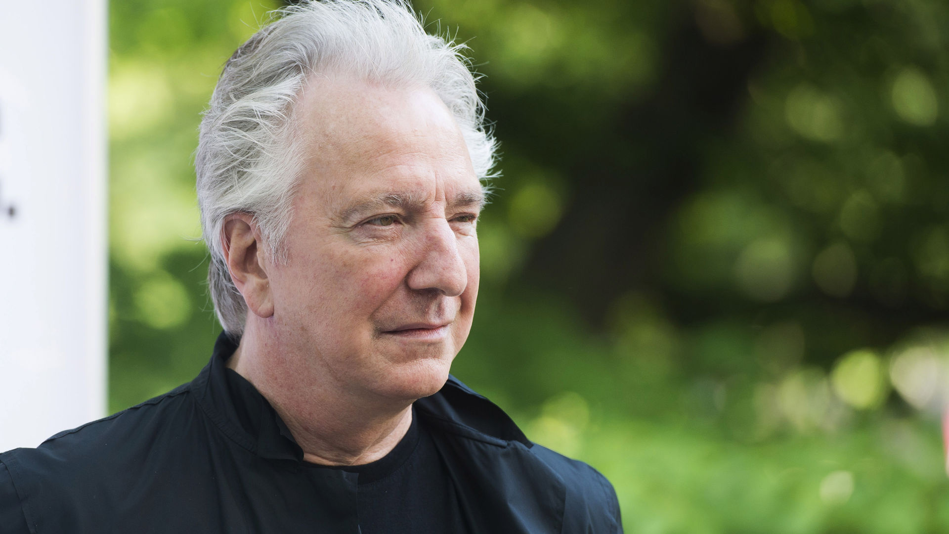 Alan Rickman, Desktop, Wallpaper, 58112 px, 1920x1080 Full HD Desktop