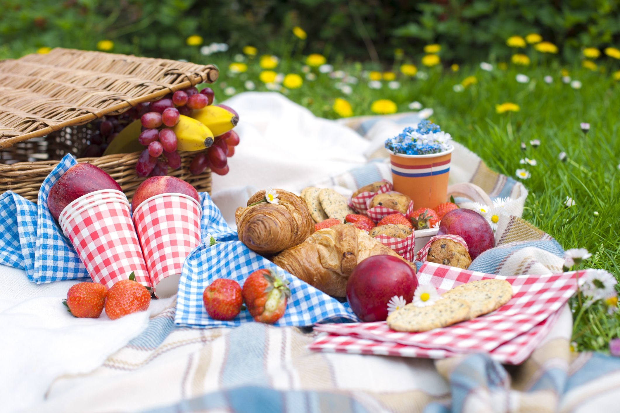 Summer picnic pictures, John walker, 2130x1420 HD Desktop