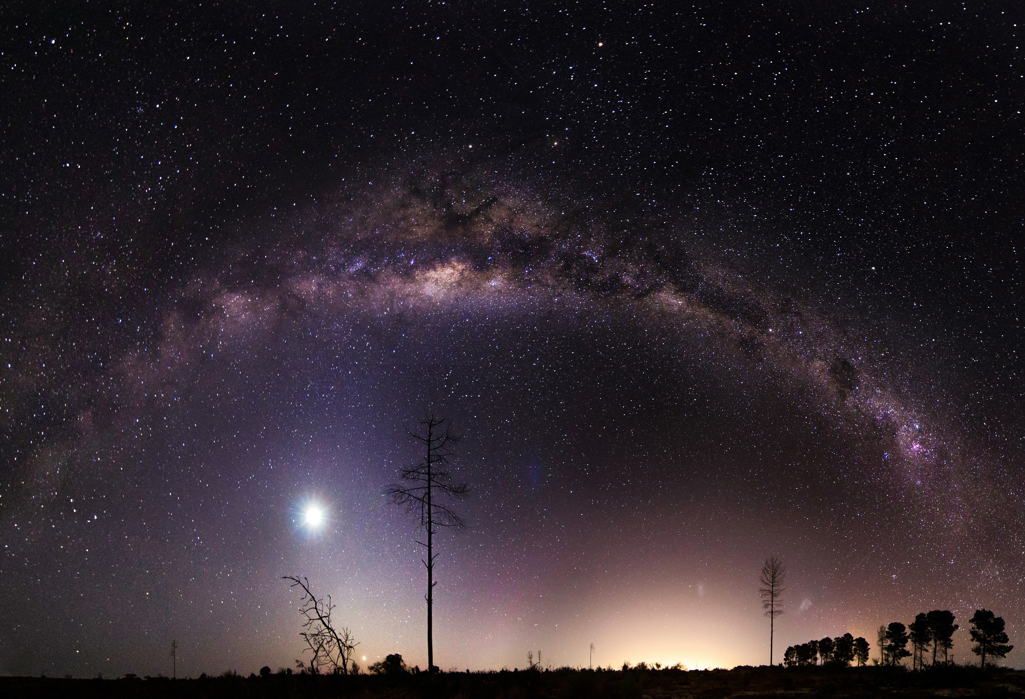 Milky Way galaxy arch, bare tree silhouette, bright star glow, HD Desktop wallpaper