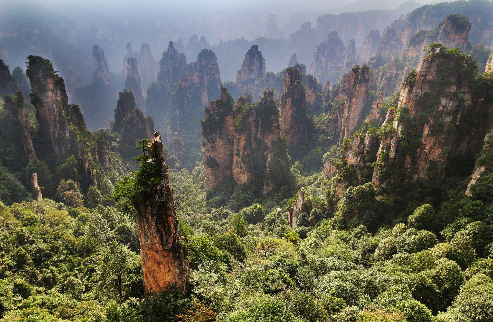 Earth forest cliff, Hunan, China, Zhangjiajie nature photos, 1920x1260 HD Desktop