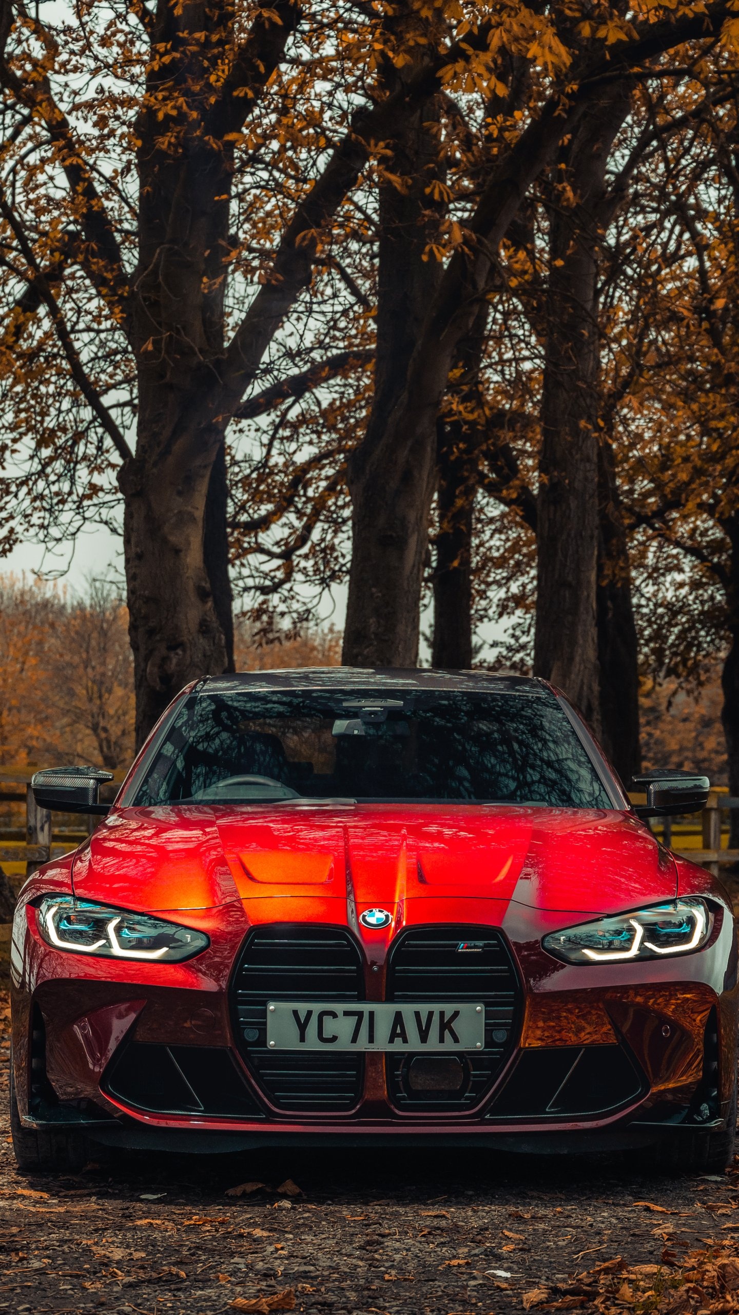 BMW M3, Competitive vehicle, Speed and agility, Dynamic driving experience, 1440x2560 HD Phone