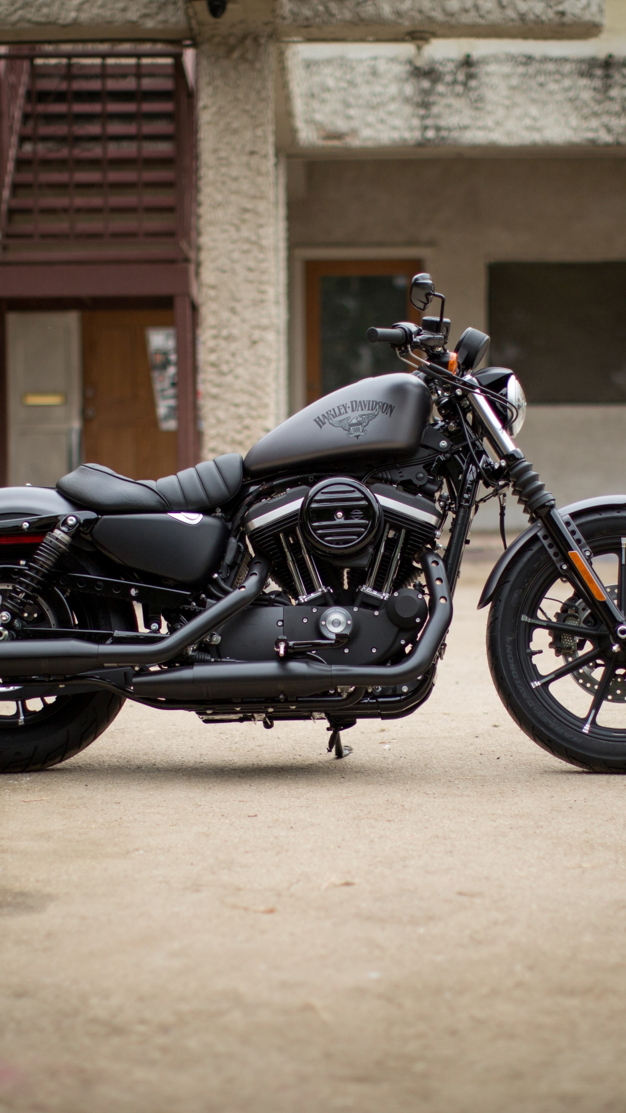 Iron 883, Harley Bikes Wallpaper, 2160x3840 4K Phone