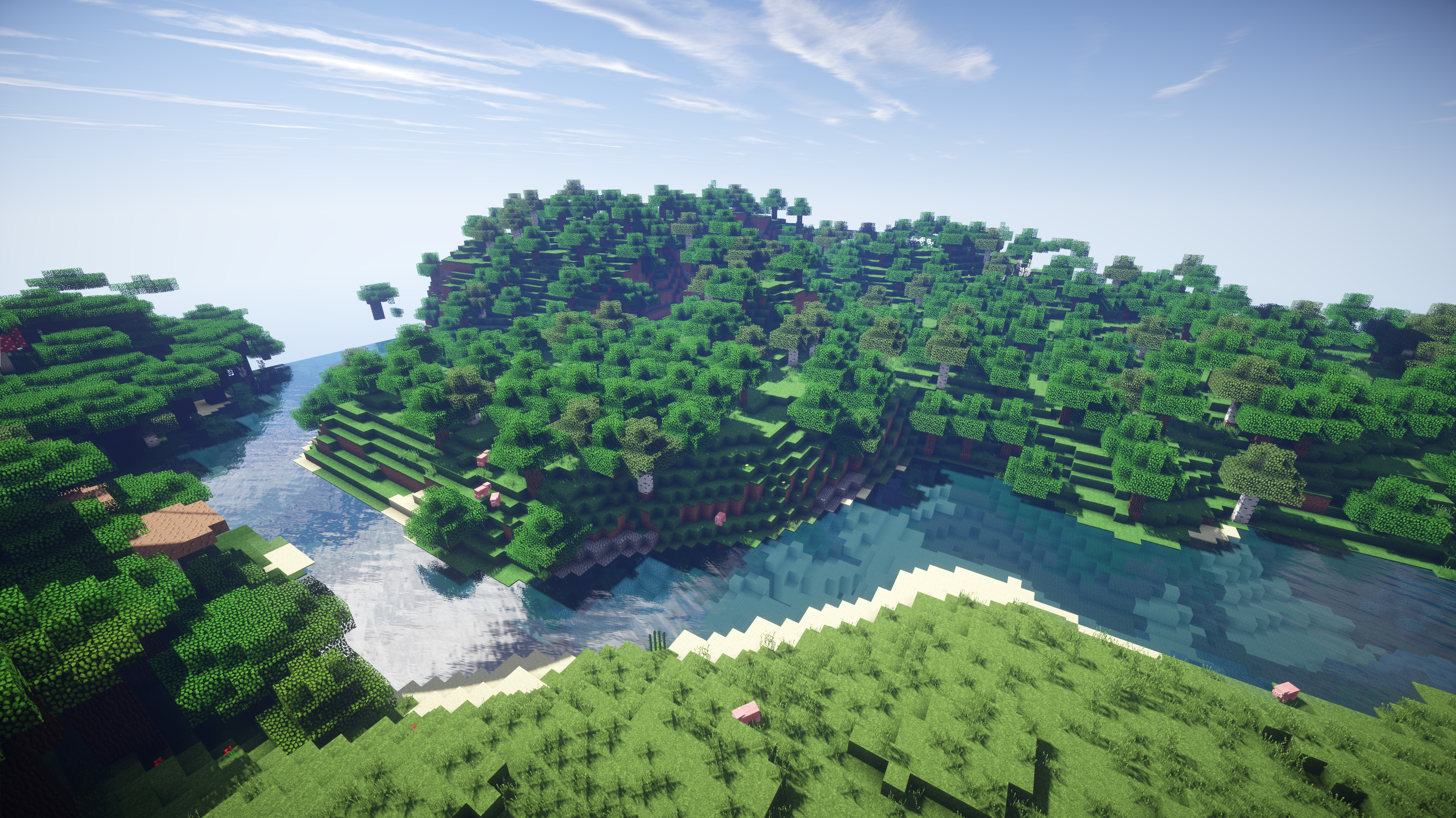 Minecraft forest biome, Minecraft river, Minecraft pigs, HD Desktop wallpaper