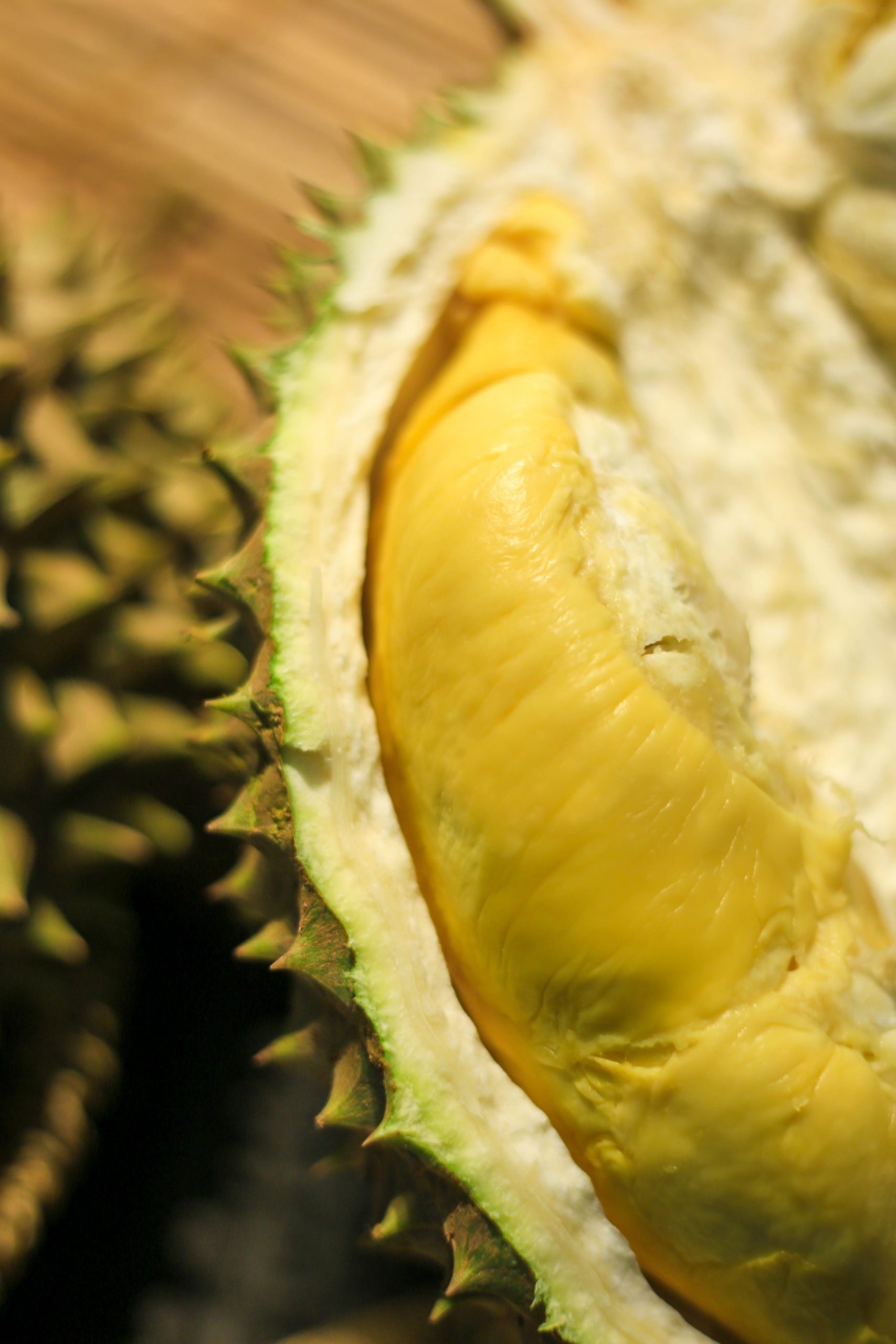 About Durian, Information source, Knowledge hub, Durian facts, 1710x2560 HD Phone