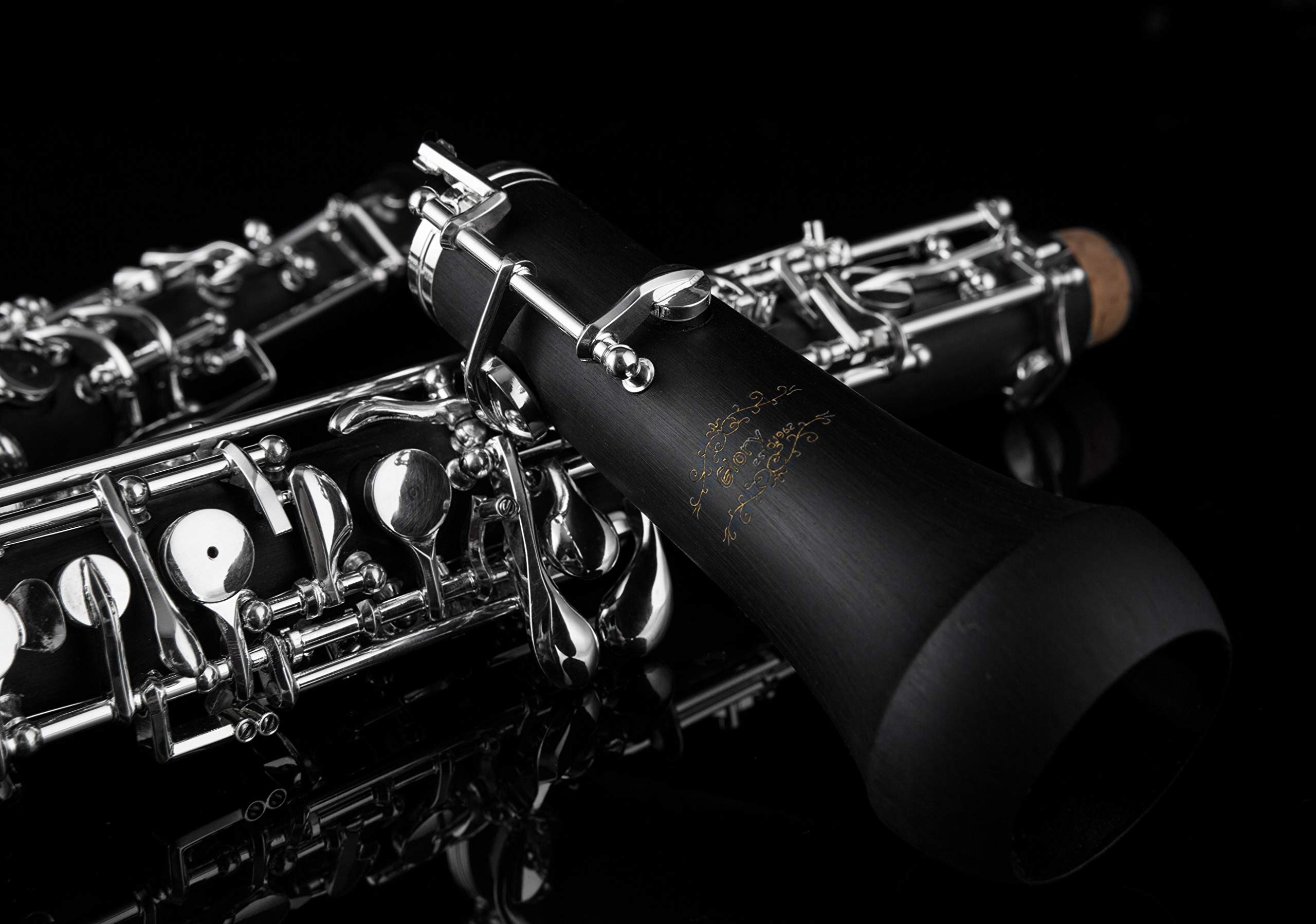 Glory oboe, Beginner's instrument, Woodwind musical instrument, C key oboe, 2560x1800 HD Desktop