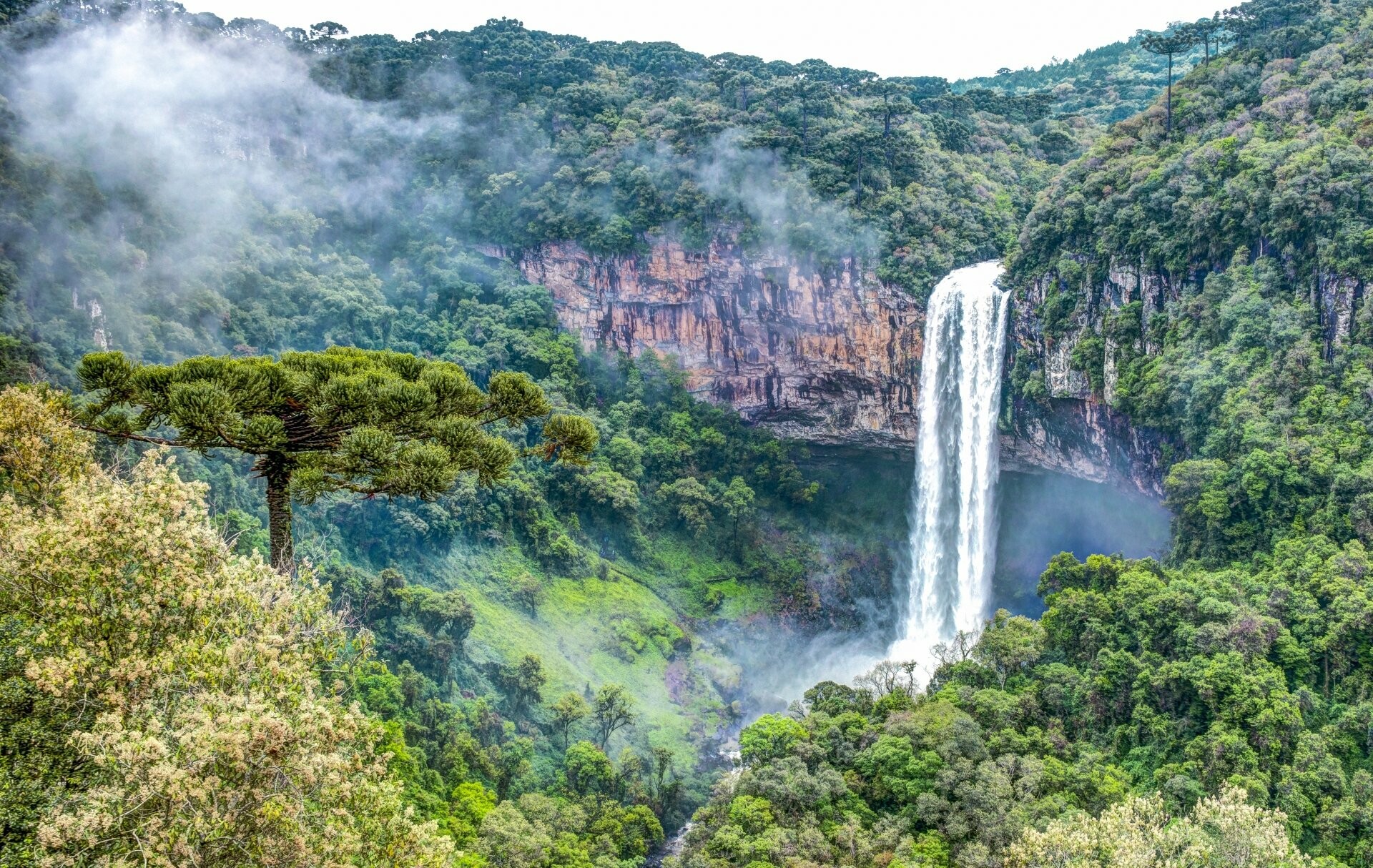 Caracol Falls, Rainforests Wallpaper, 1920x1220 HD Desktop