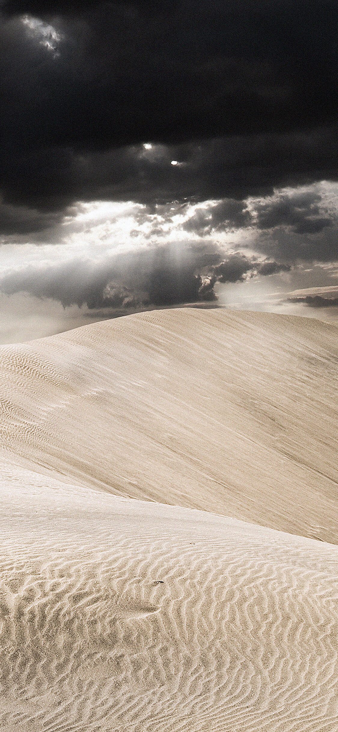 Sahara desert, Great expanse, Hot and dry, Enduring harsh conditions, 1130x2440 HD Phone