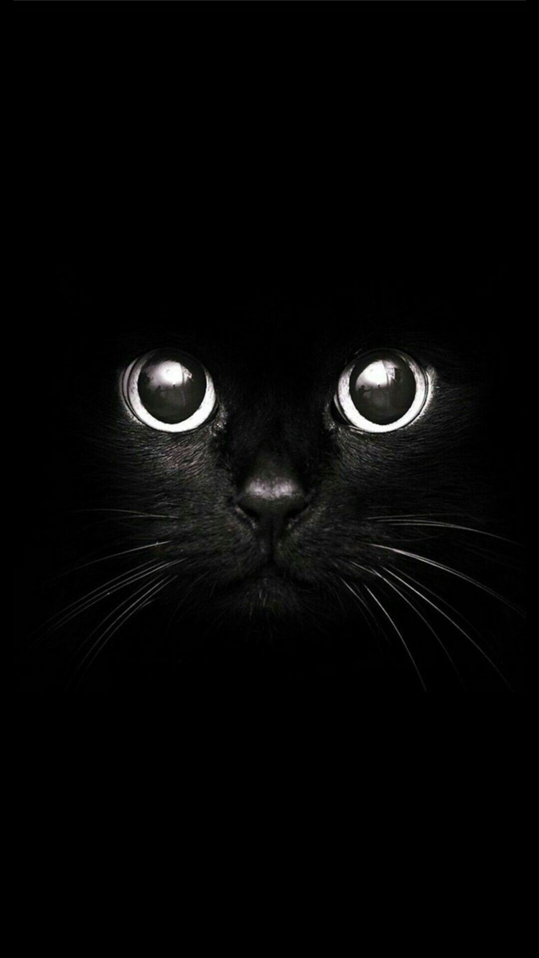 Cute cat art, Adorable feline friend, Whiskers and paws, Playful kitten, 1080x1920 Full HD Phone
