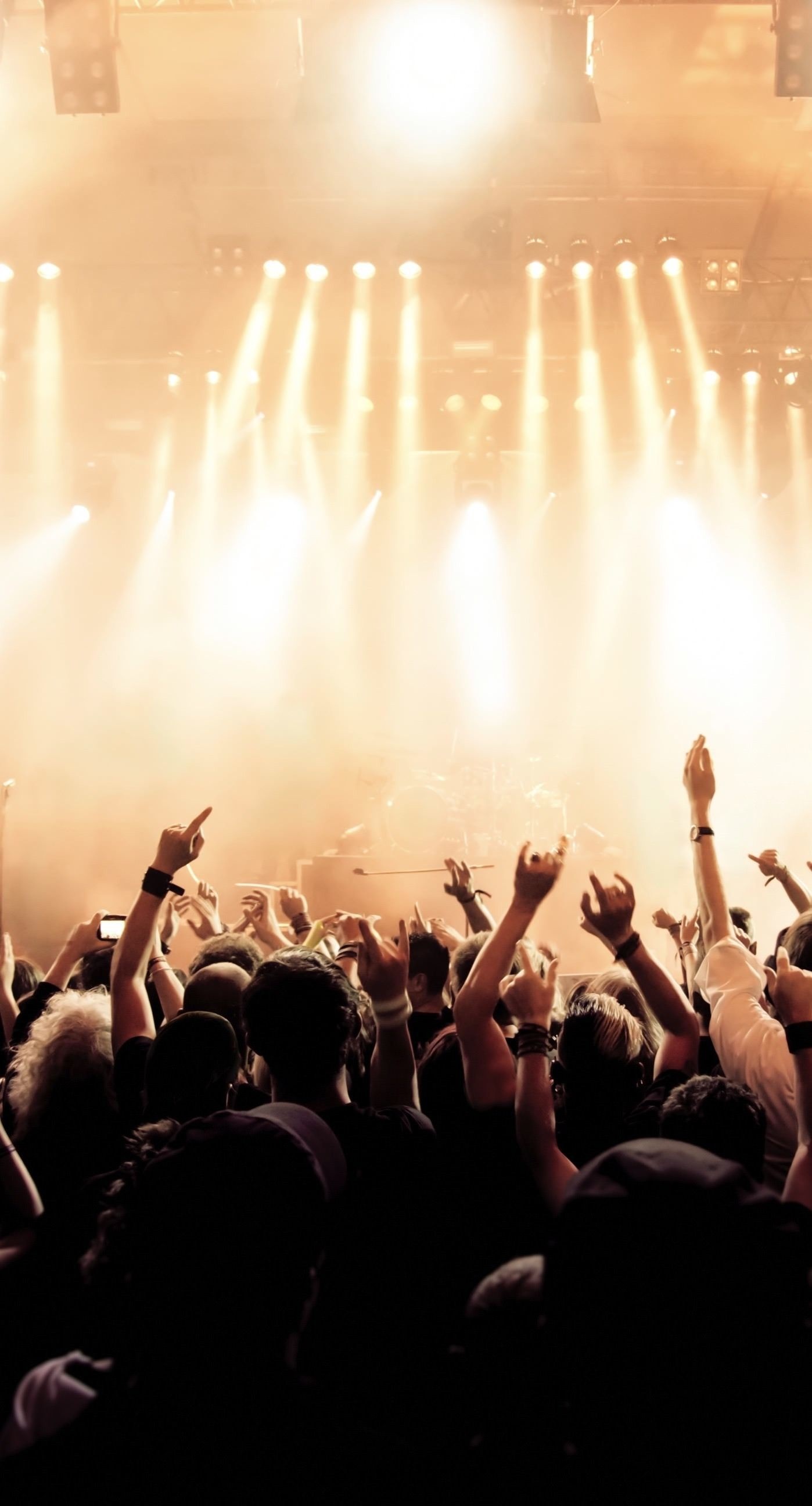 Concert, Music event, Live show, Enthusiastic audience, 1400x2600 HD Phone