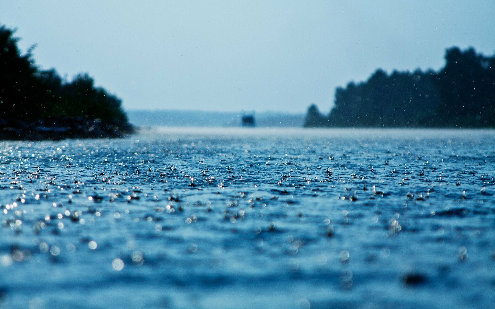 Drenched landscapes, Rainy day beauty, Nature's tears, Mesmerizing wallpapers, 1920x1200 HD Desktop