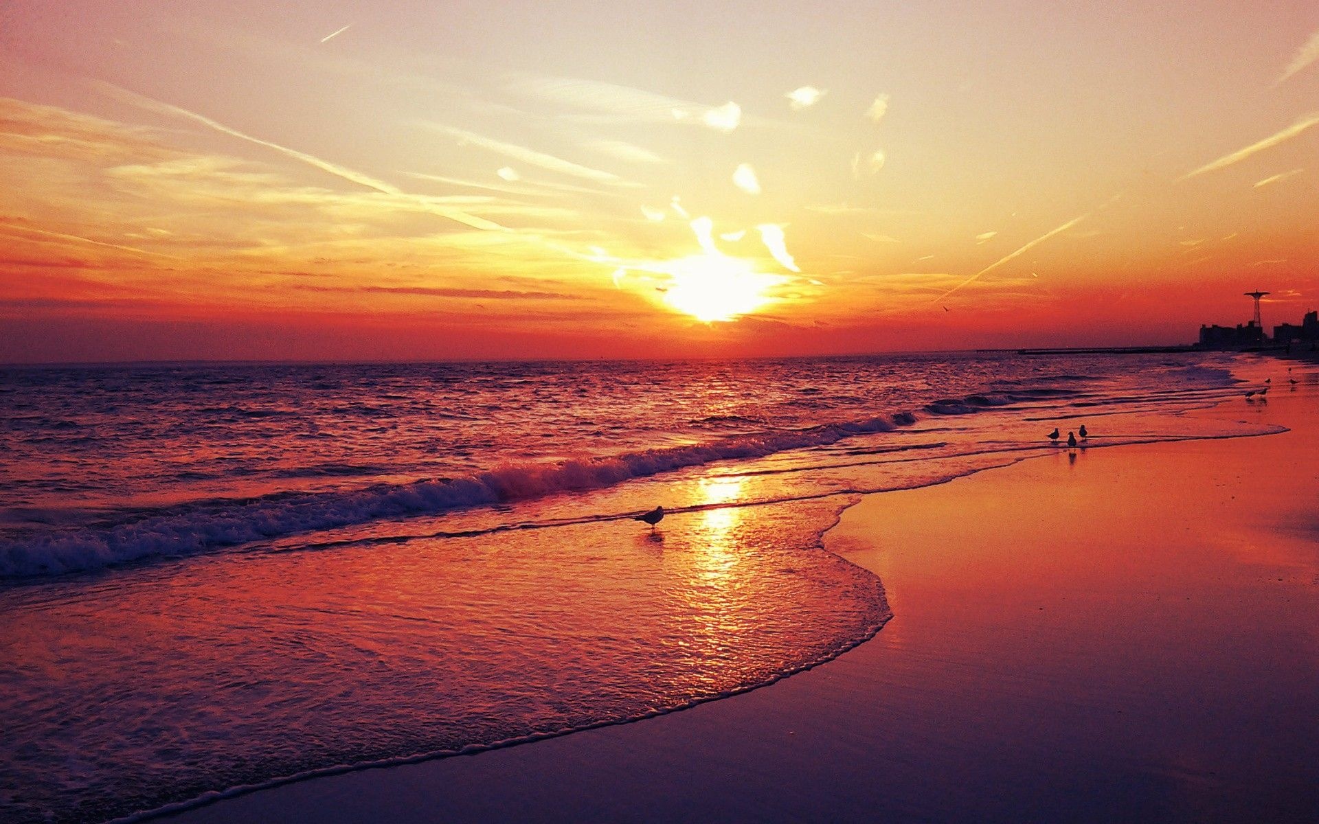 Coney Island beach sunset, Seagulls on wet sand, Reflective ocean shoreline, HD Desktop wallpaper