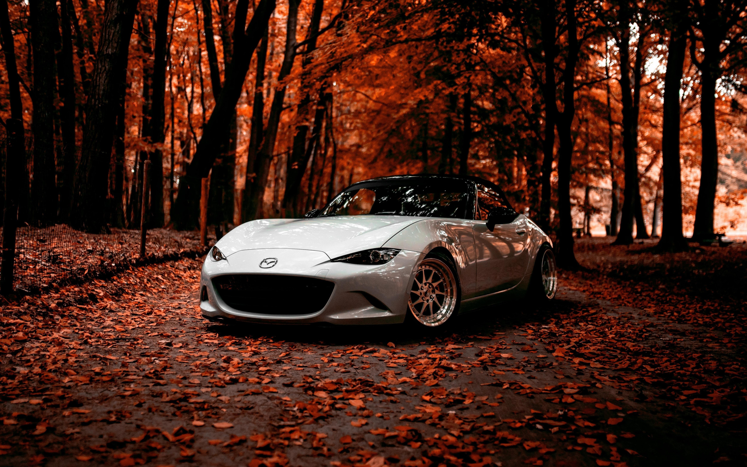 Mazda MX-5 Miata ND, aftermarket deep dish wheels, fallen autumn leaves, HD Desktop wallpaper