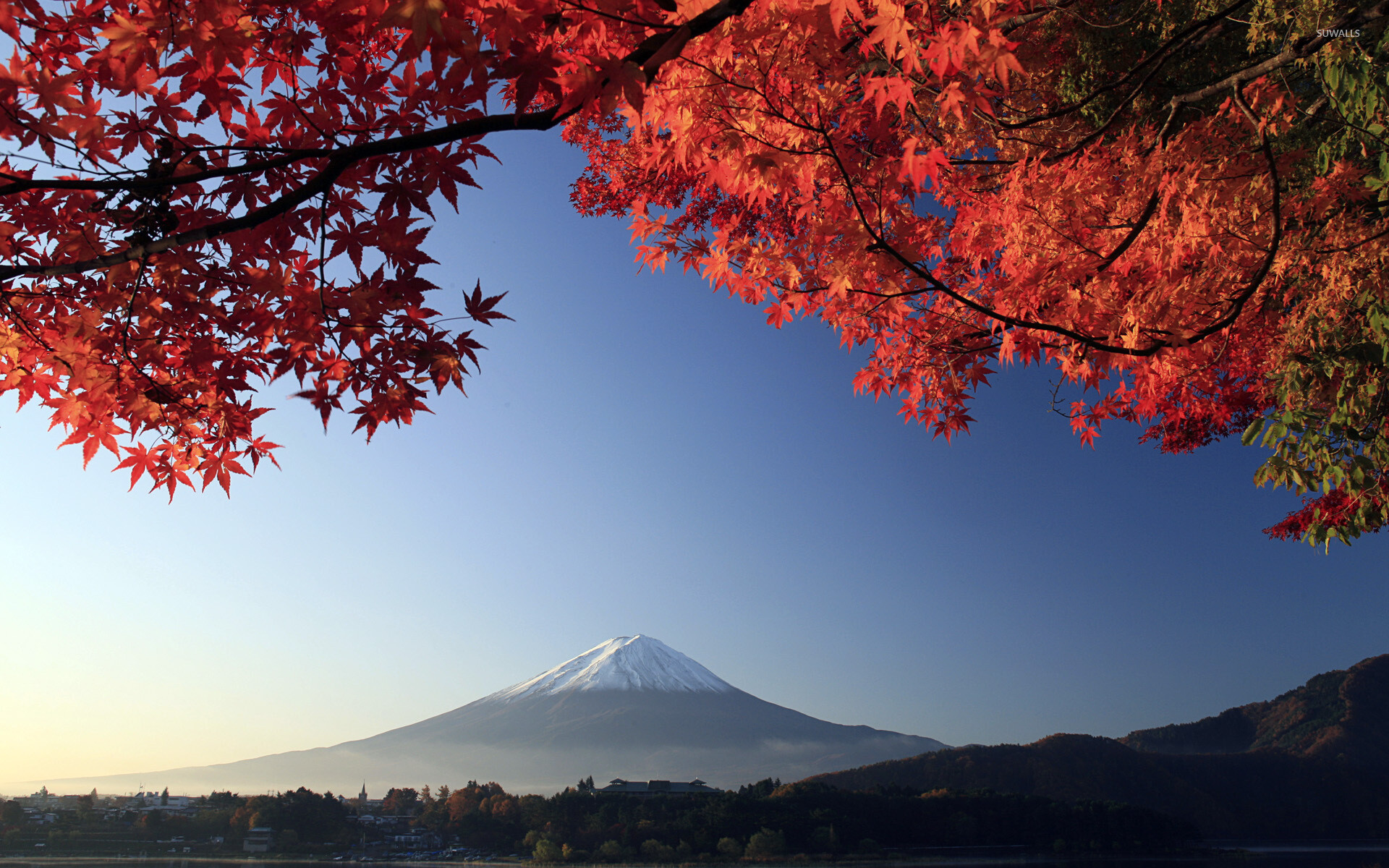 Mount Fuji, Autumn Wallpaper, 1920x1200 HD Desktop