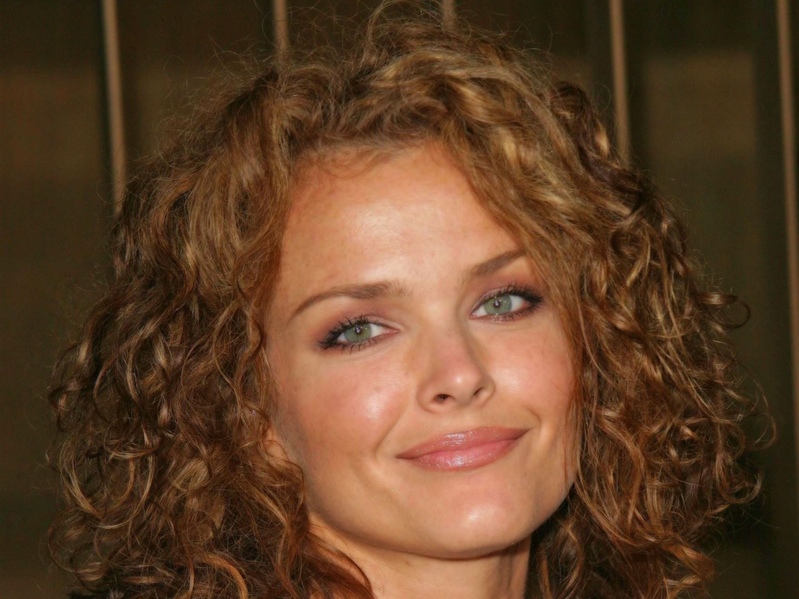 Dina Meyer movies, Dina Meyer desktop wallpapers, Dina Meyer celebrities, Dina Meyer female, 2560x1920 HD Desktop