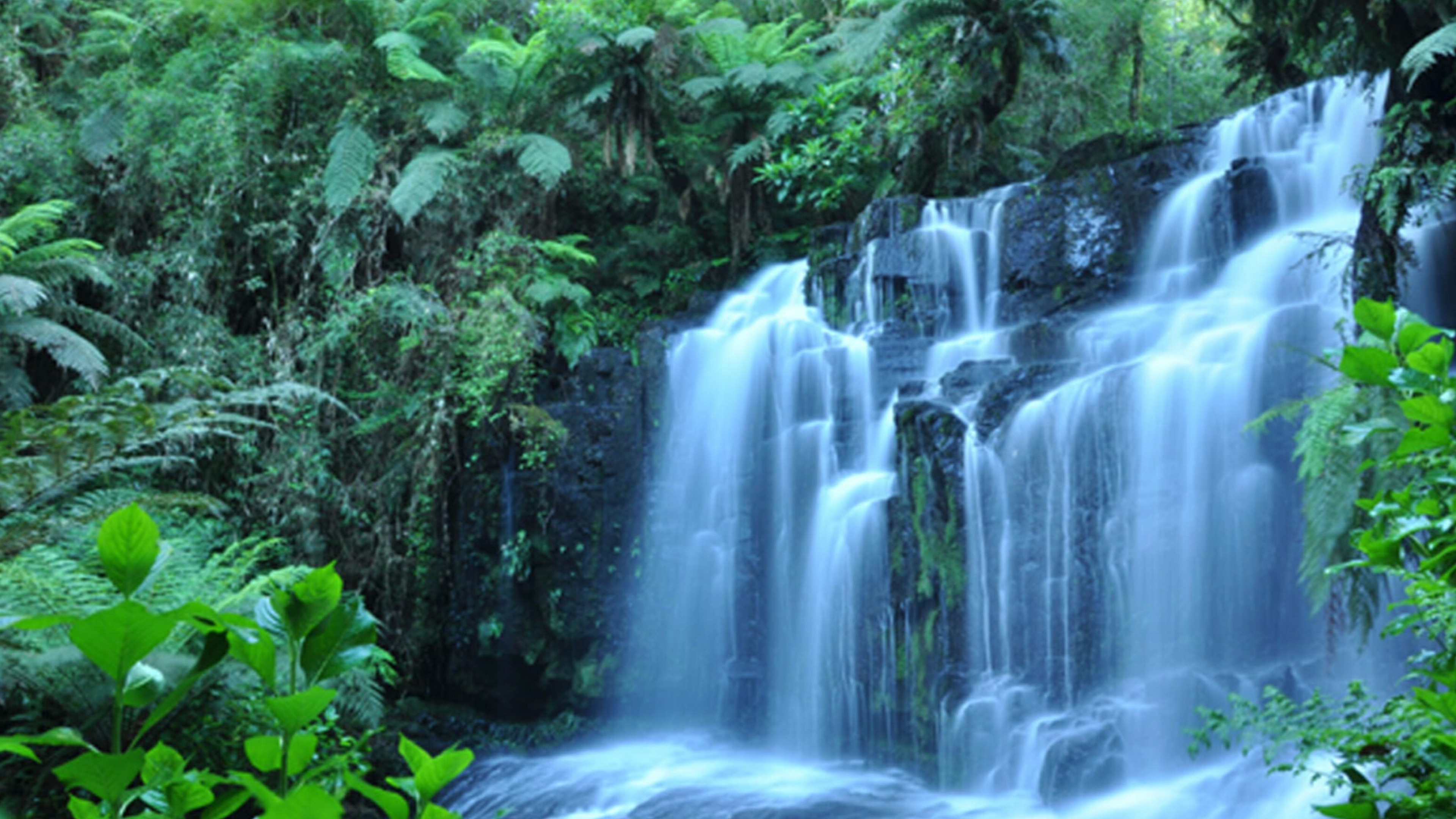 Tropical rainforests, Cascading waterfalls, Desktop wallpaper, Nature's tranquility, 3840x2160 4K Desktop